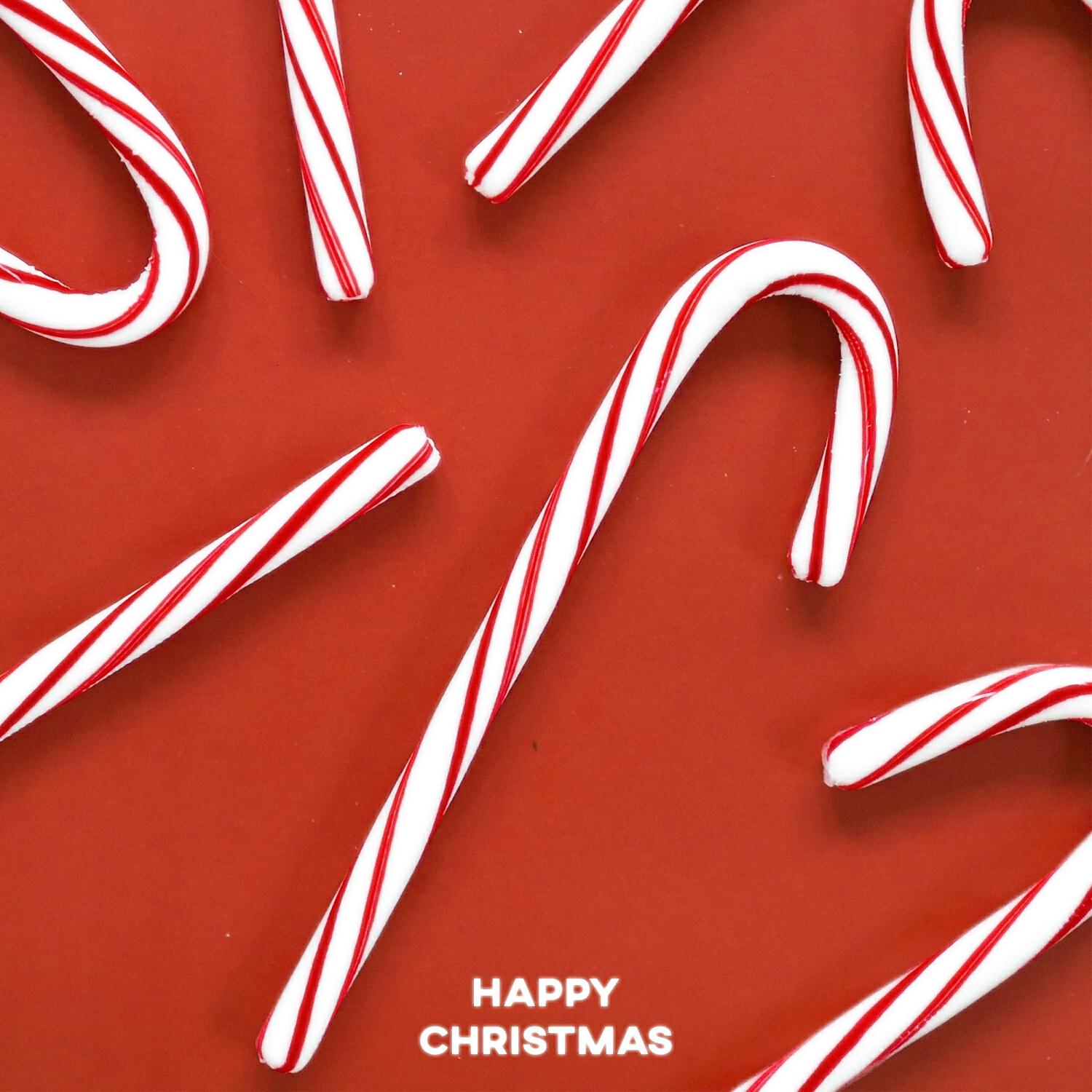Релиз Happy Christmas