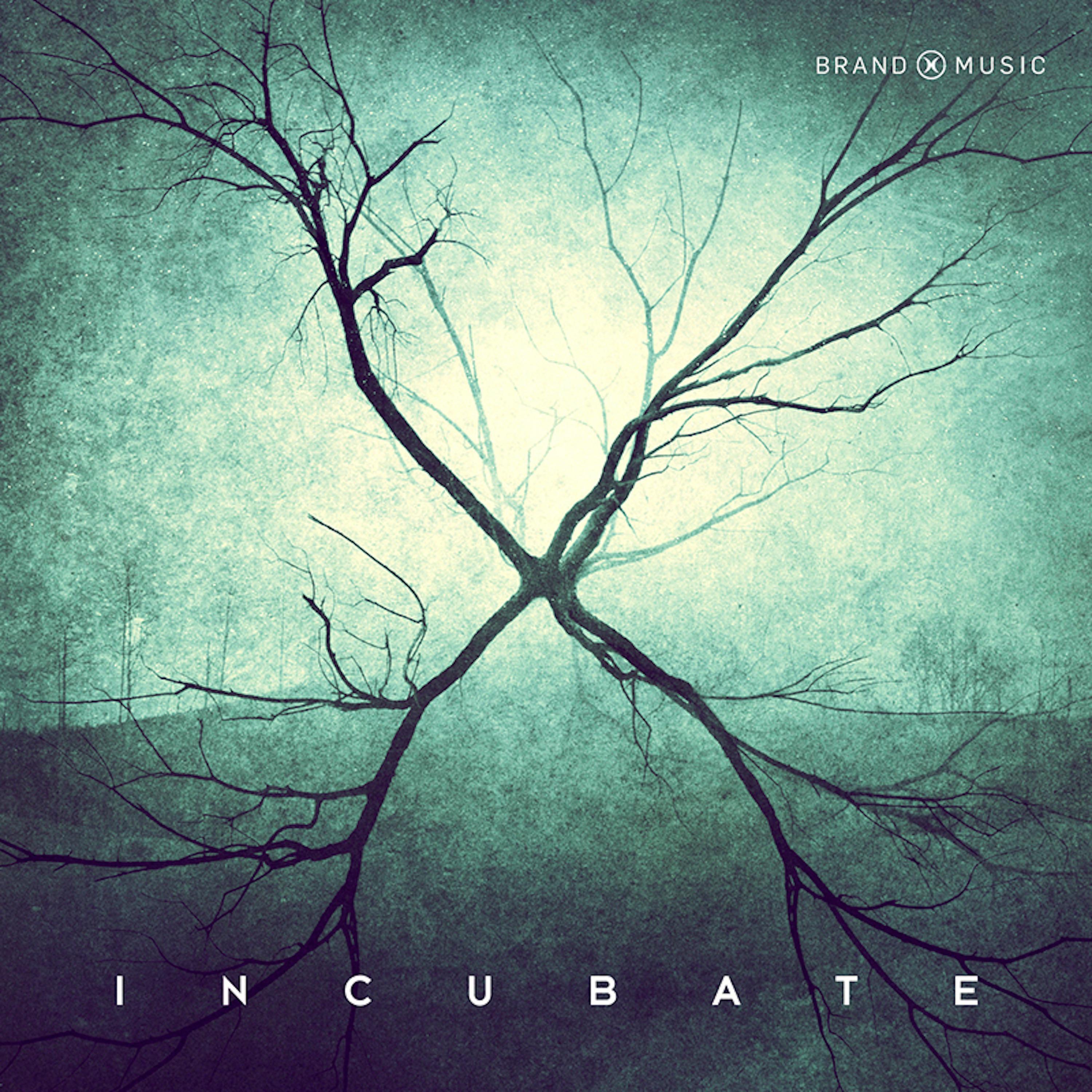 Релиз Incubate