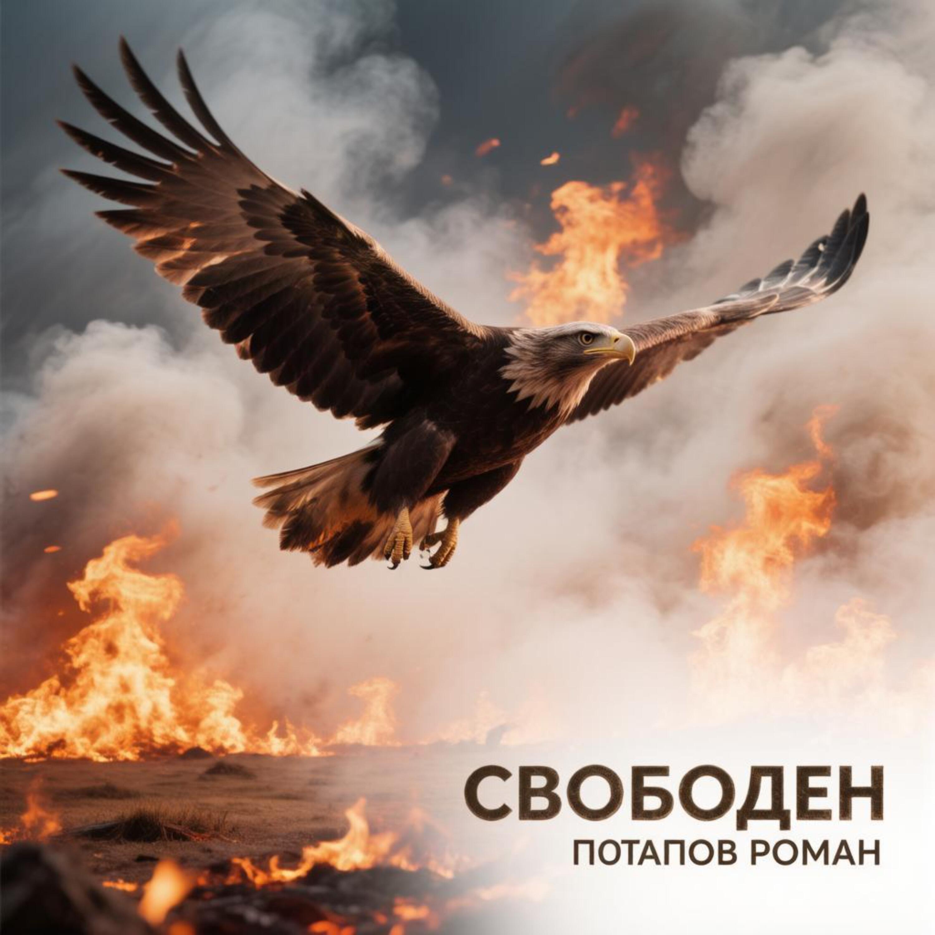 Релиз Свободен