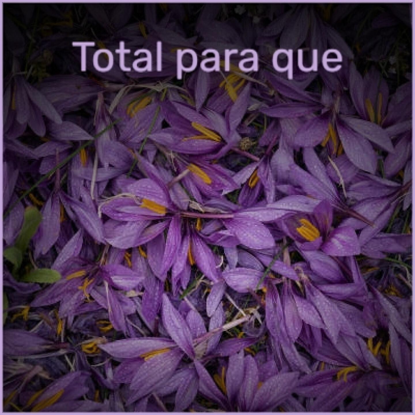 Релиз Total Para Que