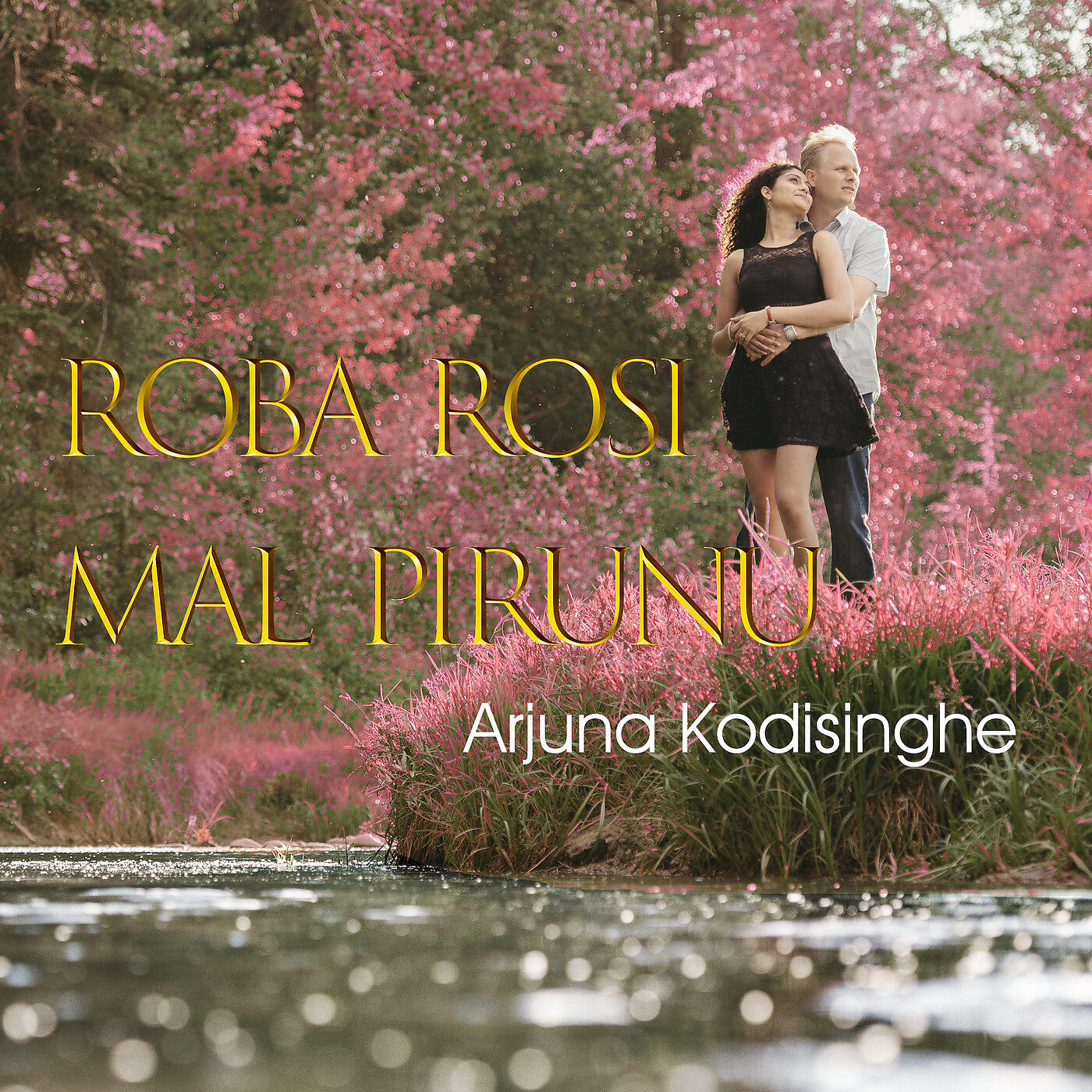Релиз Roba Rosi Mal Pirunu