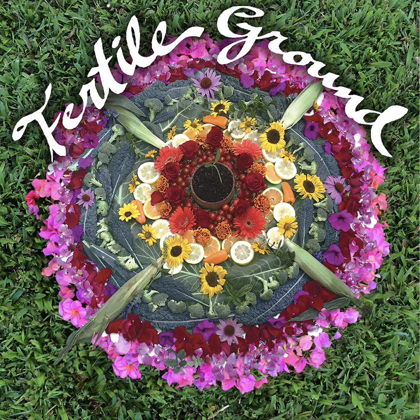 Релиз Fertile Ground