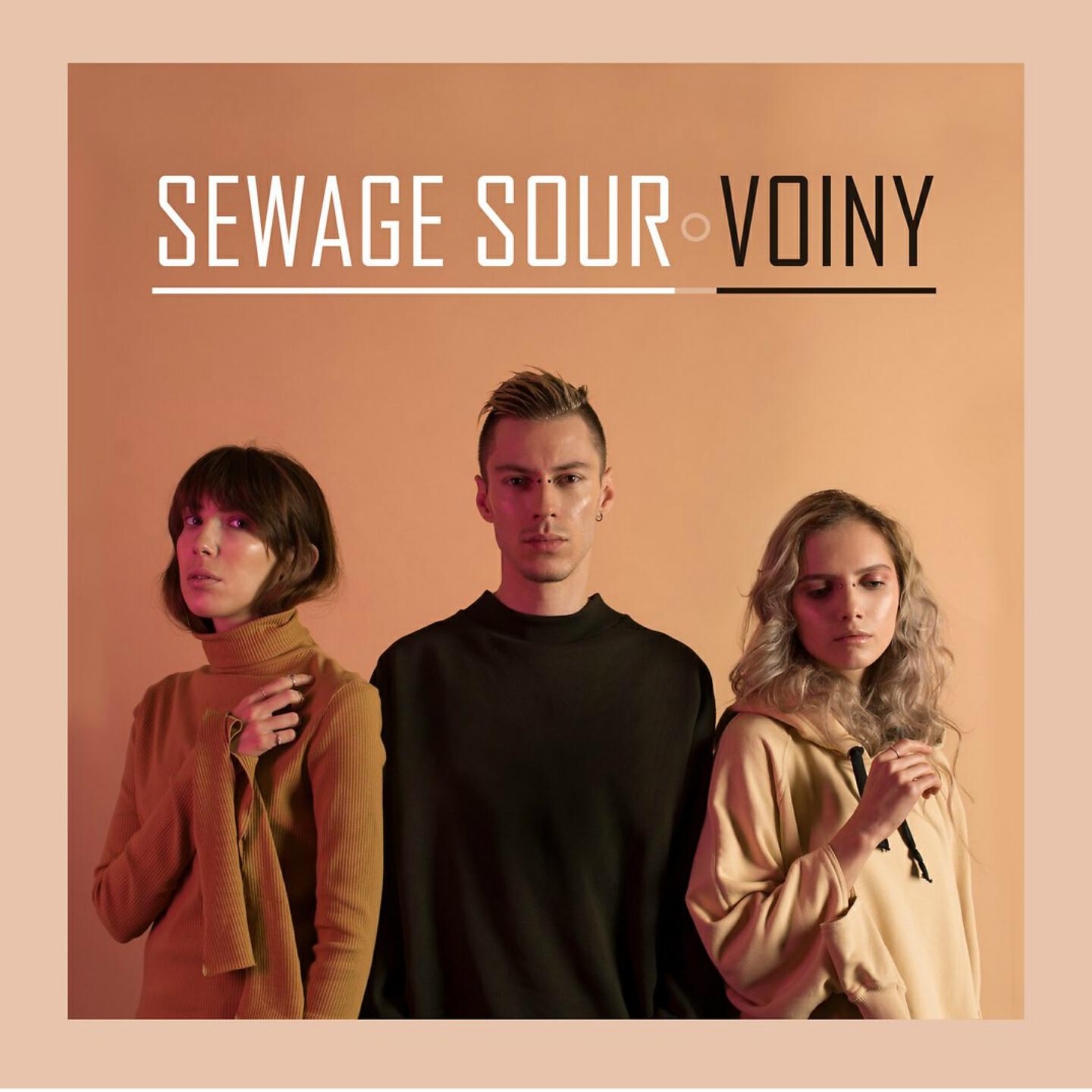 Релиз Voiny