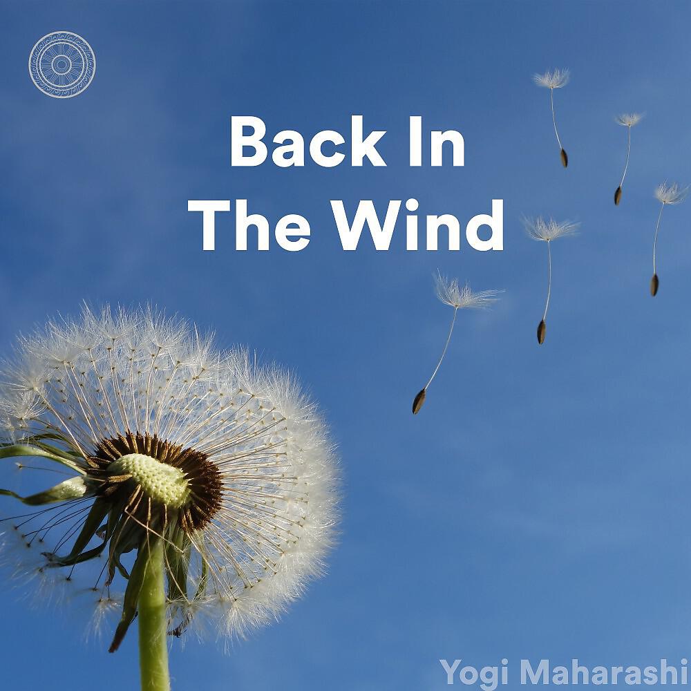 Релиз Back in the Wind