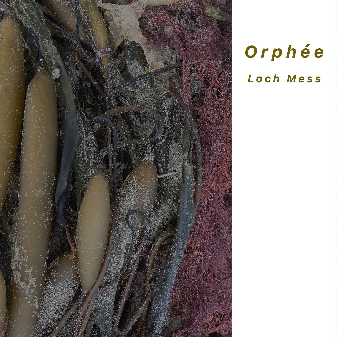 Loch Mess