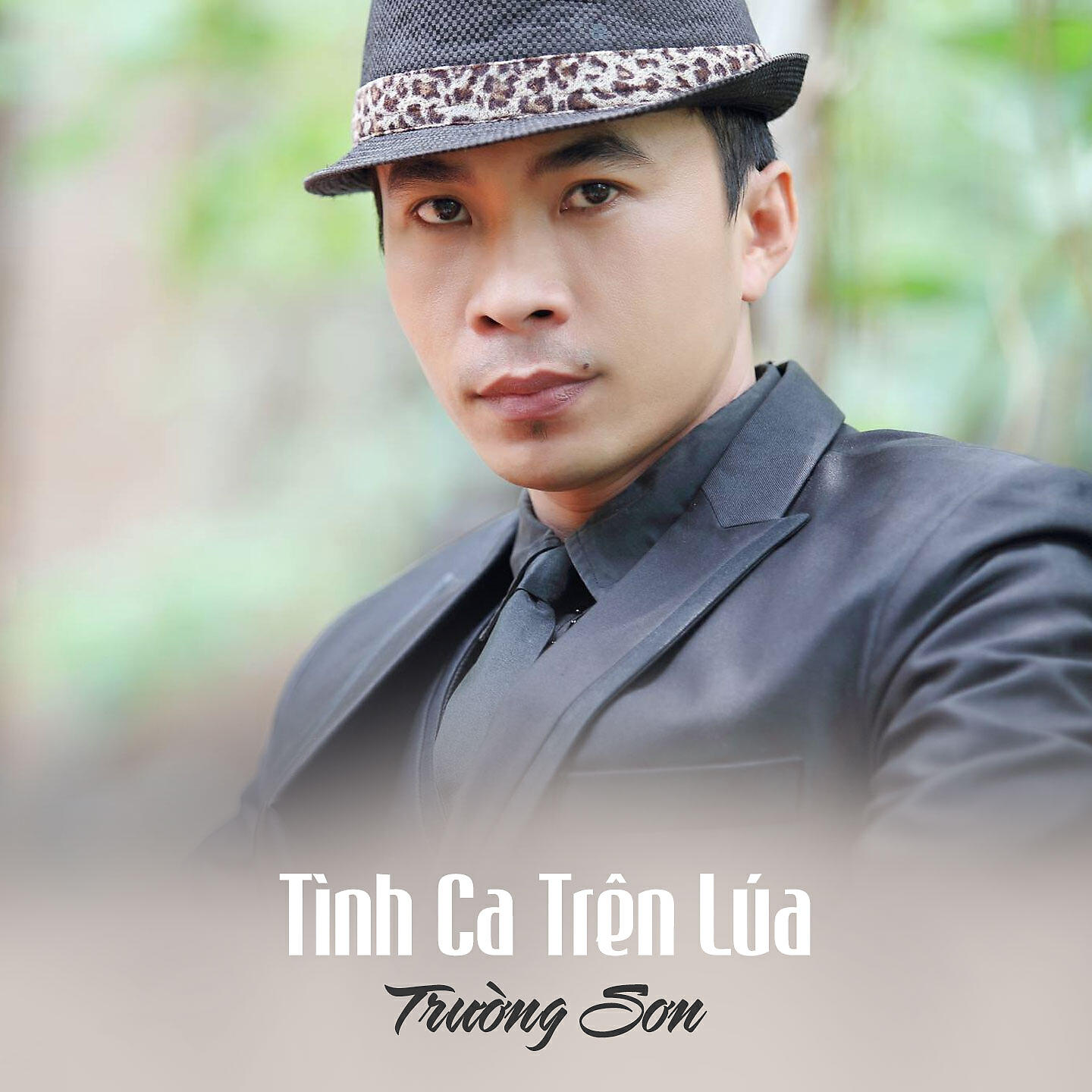Релиз Tình Ca Trên Lúa