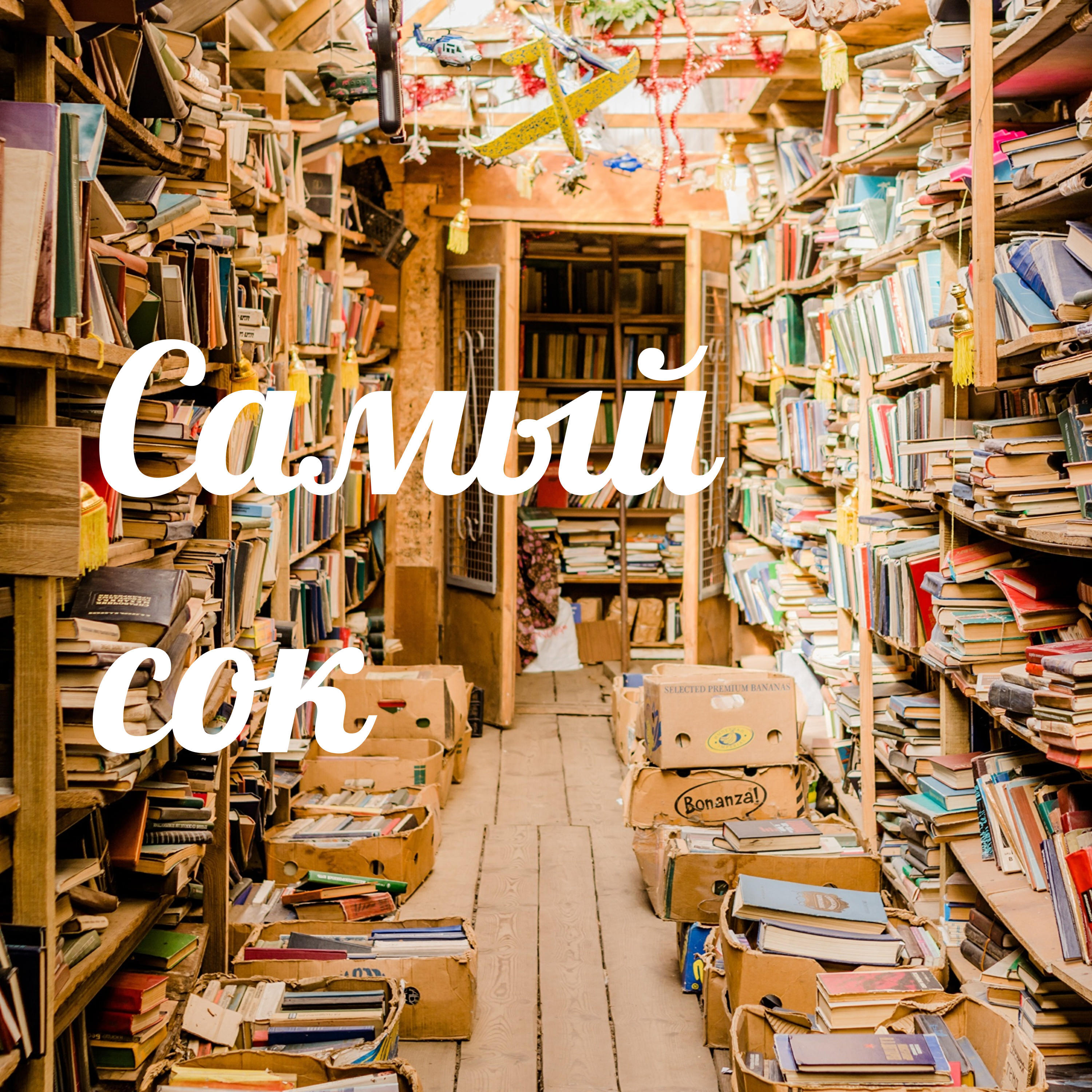 Эпизод 1. Краткое содержание повести А.С. Пушкина "Станционный ...