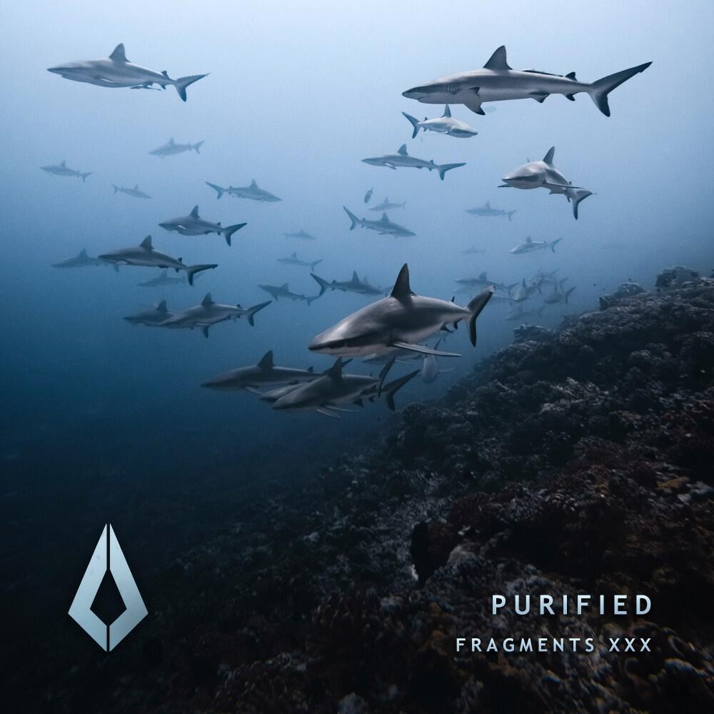 Релиз Purified Fragments XXX