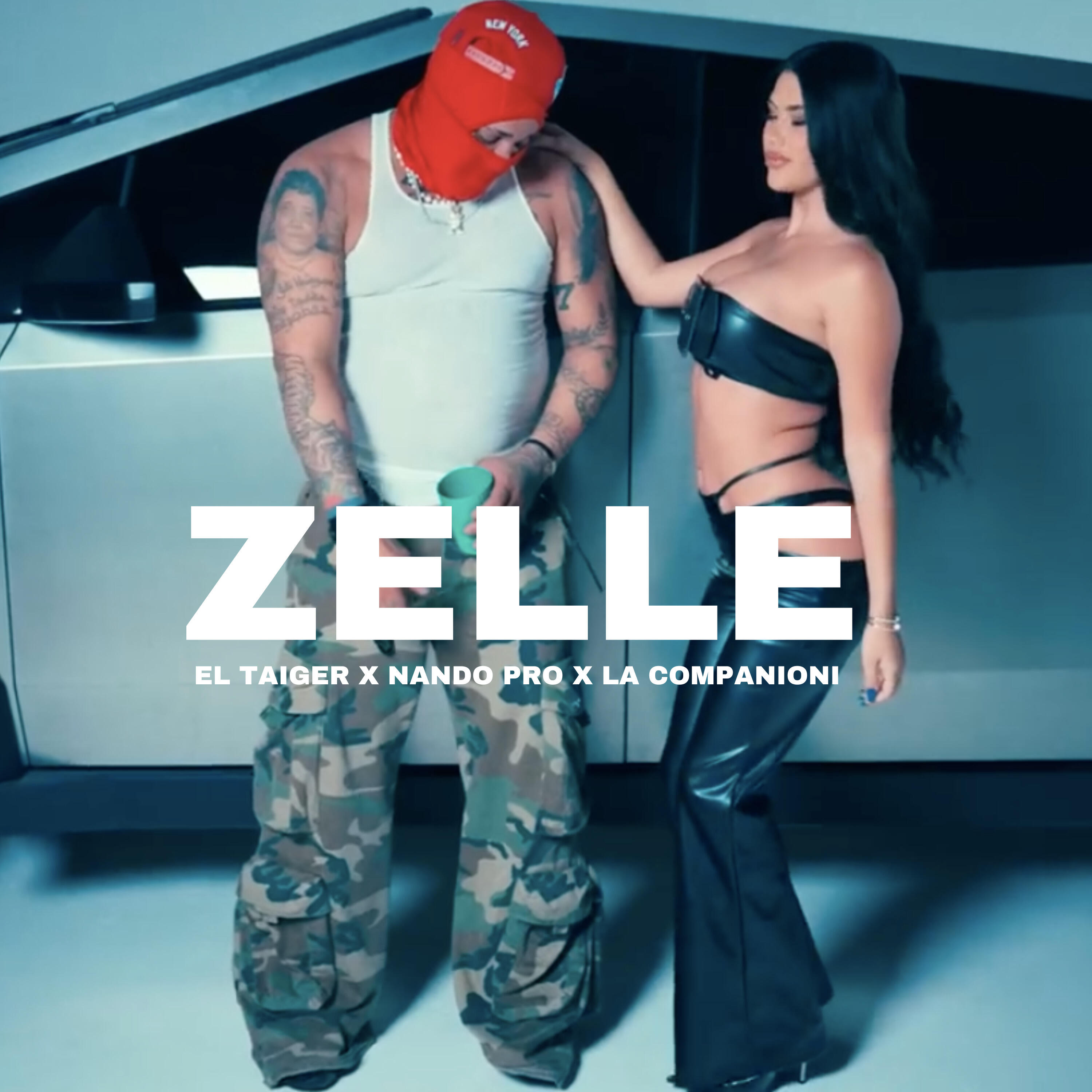 Релиз Zelle