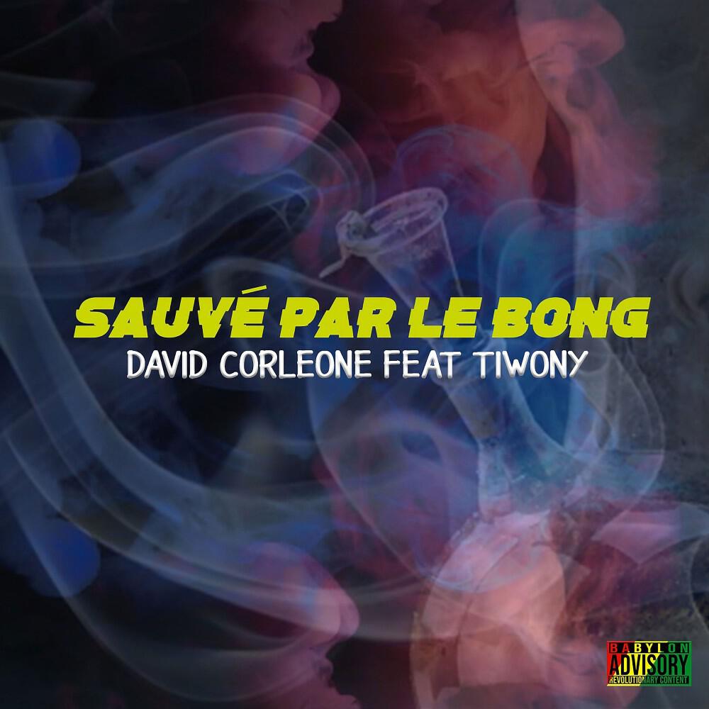 Релиз Sauvé par le bong