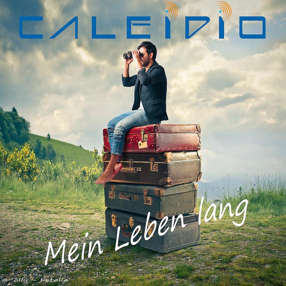 Релиз Mein Leben lang