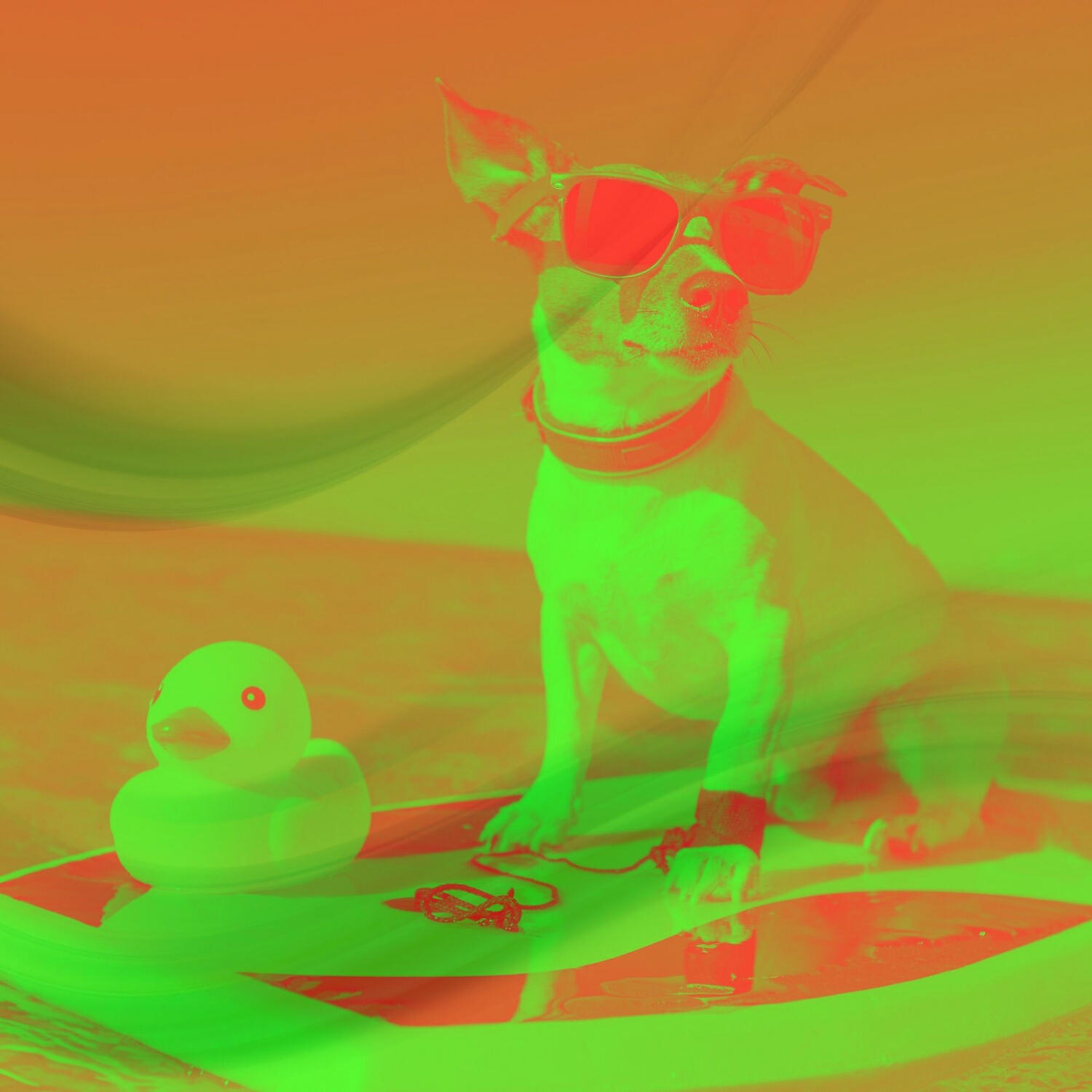 Релиз Music for Calming Your Dog - Acoustic Guitar
