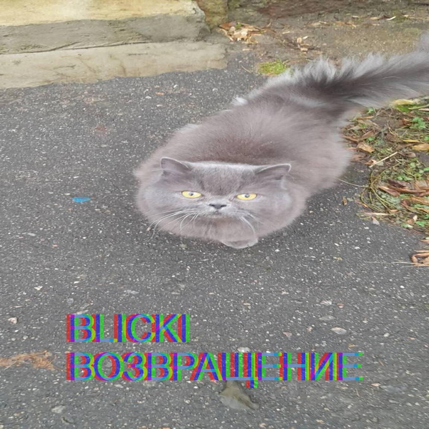 Релиз Возвращение