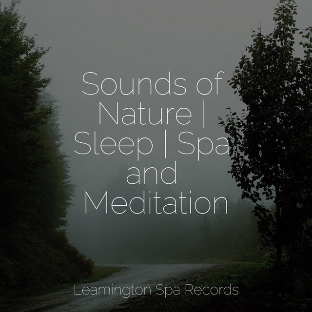 Zen Relaxation Meditation