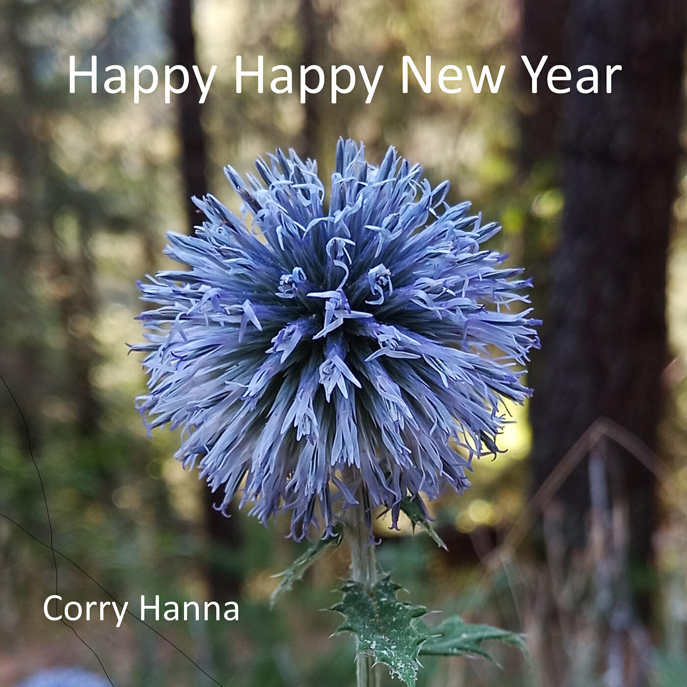 Релиз Happy Happy New Year