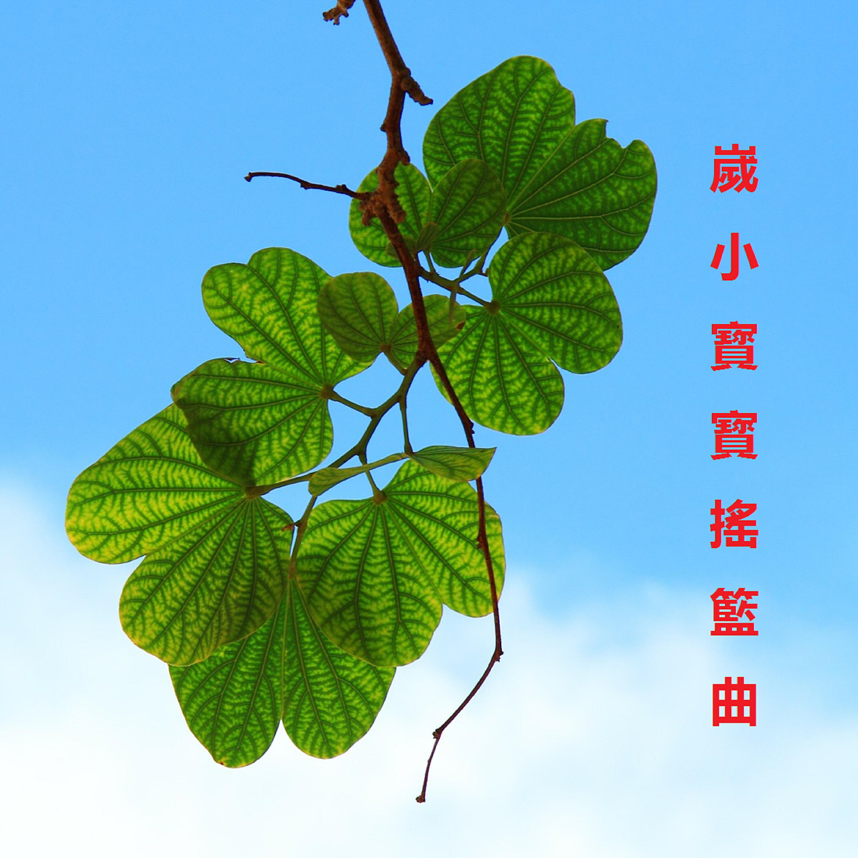 Релиз 嵗小寳寳搖籃曲