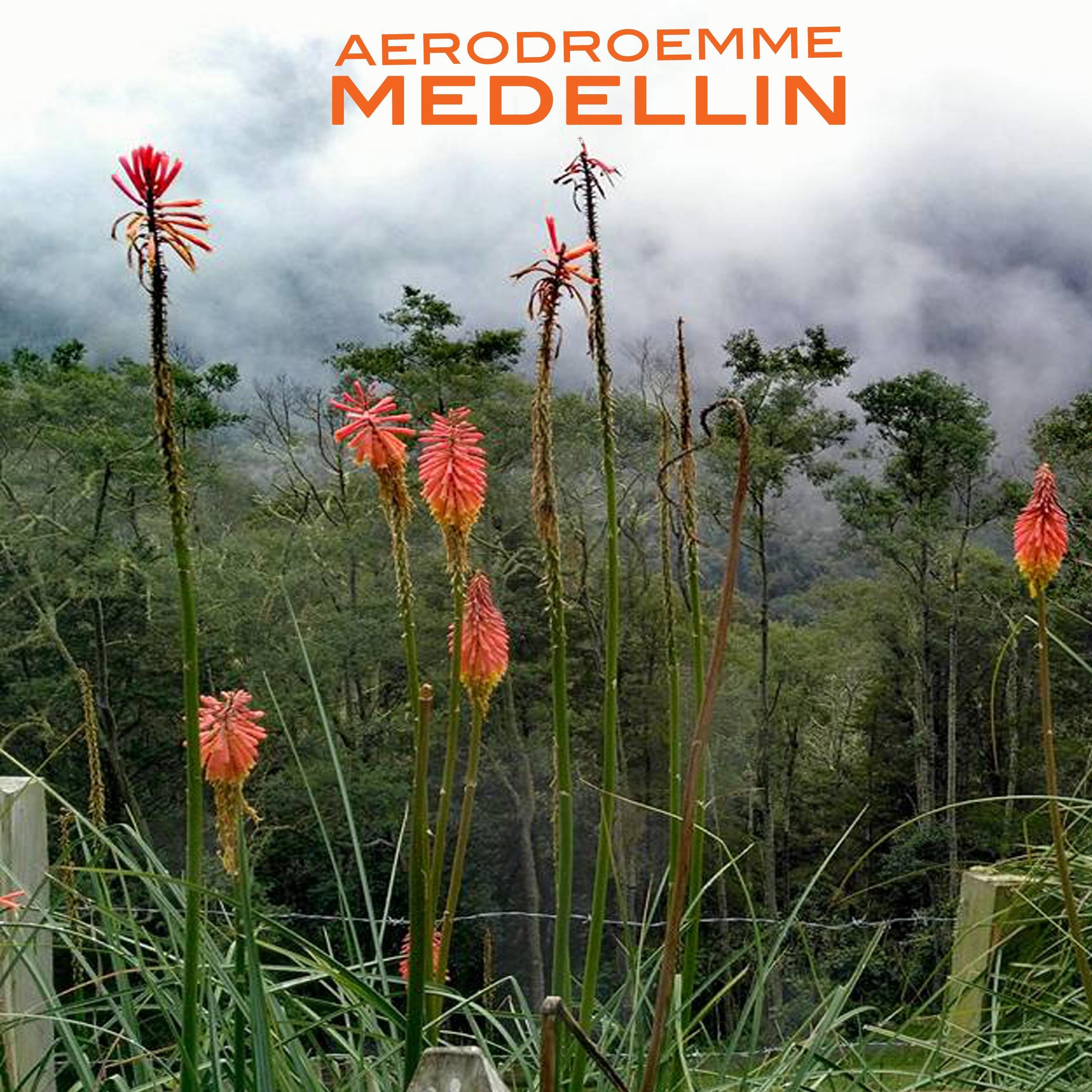 Релиз Medellin