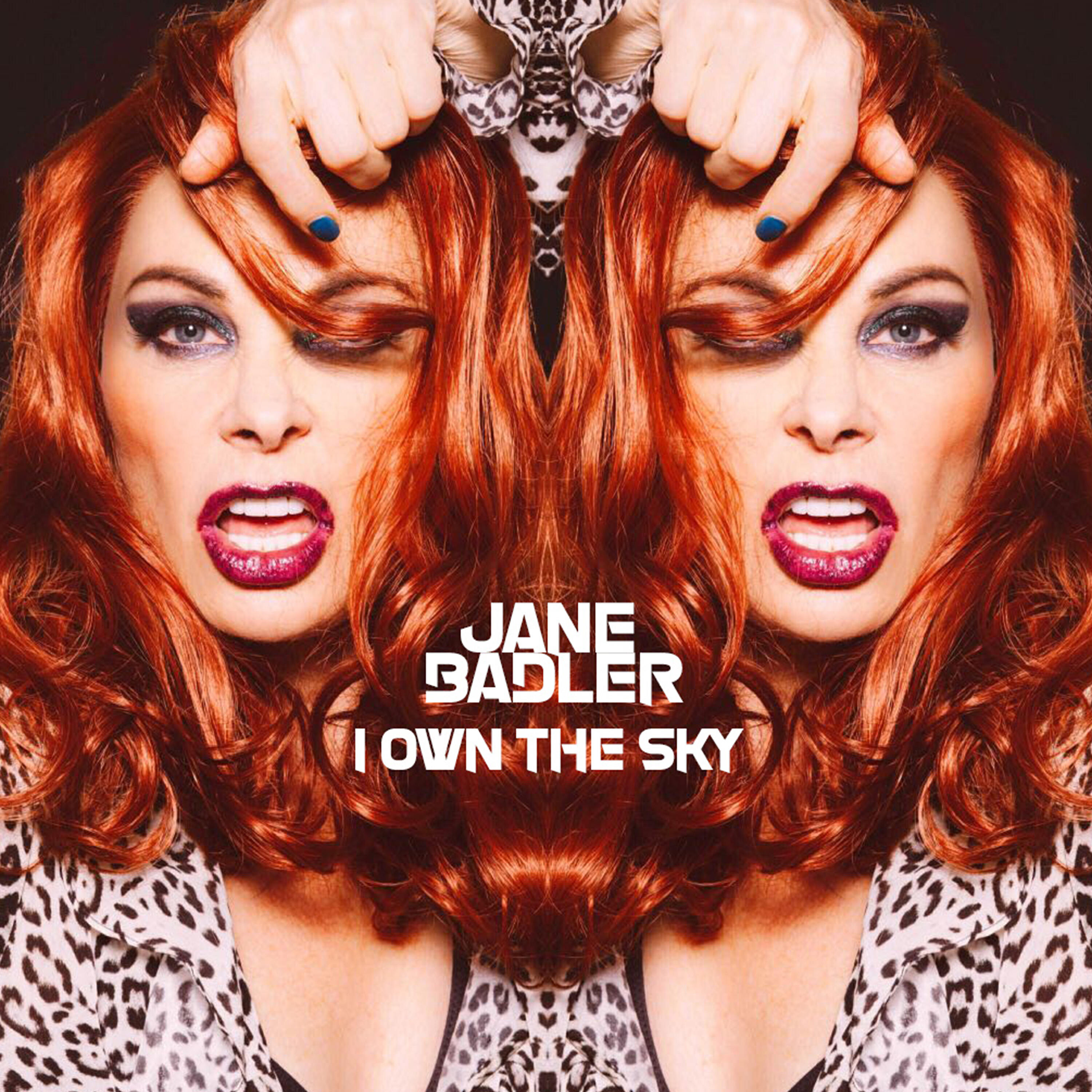 Релиз I Own the Sky