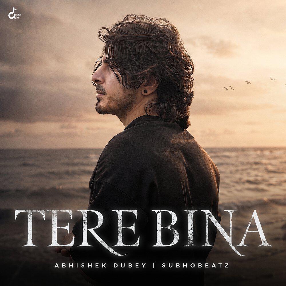 Релиз Tere Bina