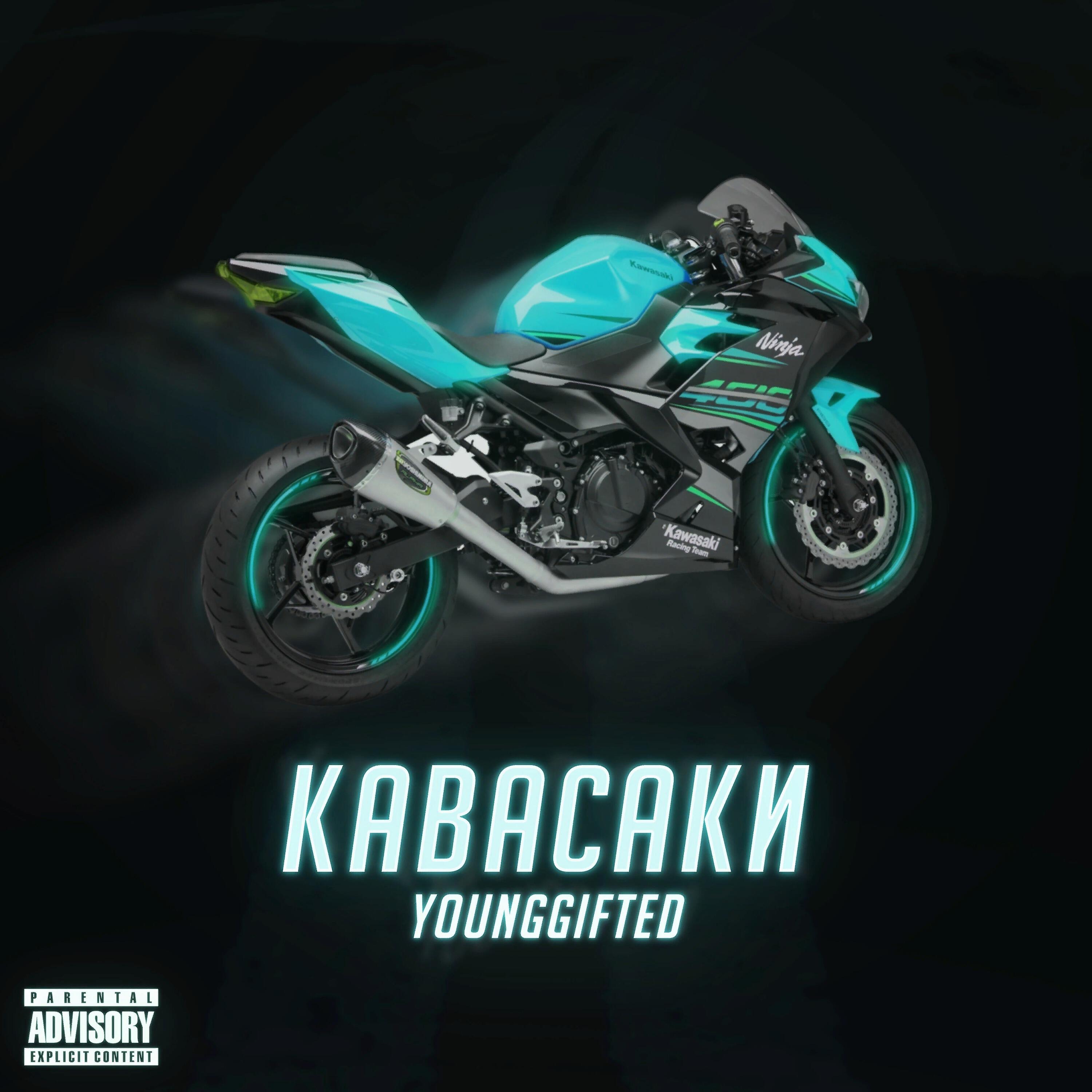 Релиз Кавасаки