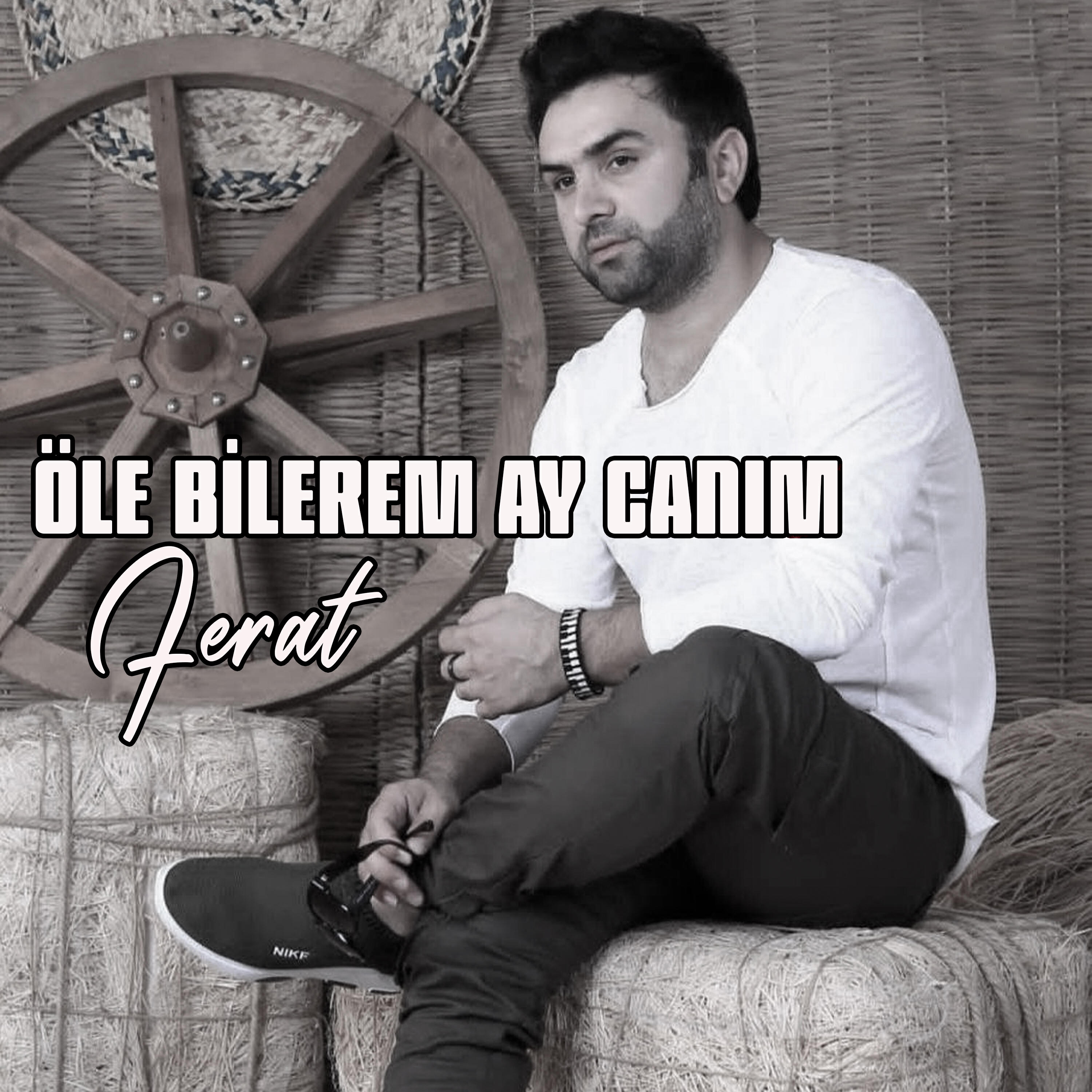 Релиз Öle Bilerem Ay Canım