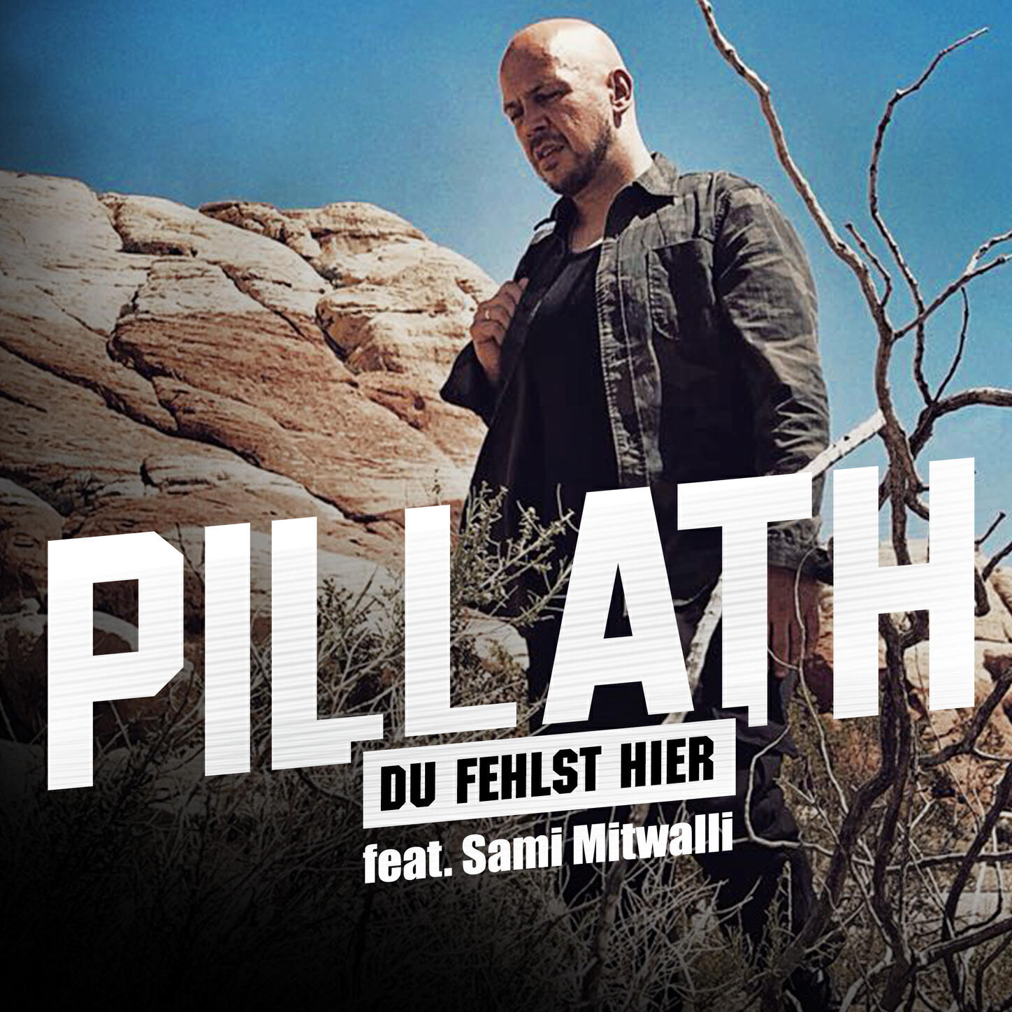 Релиз Du fehlst hier