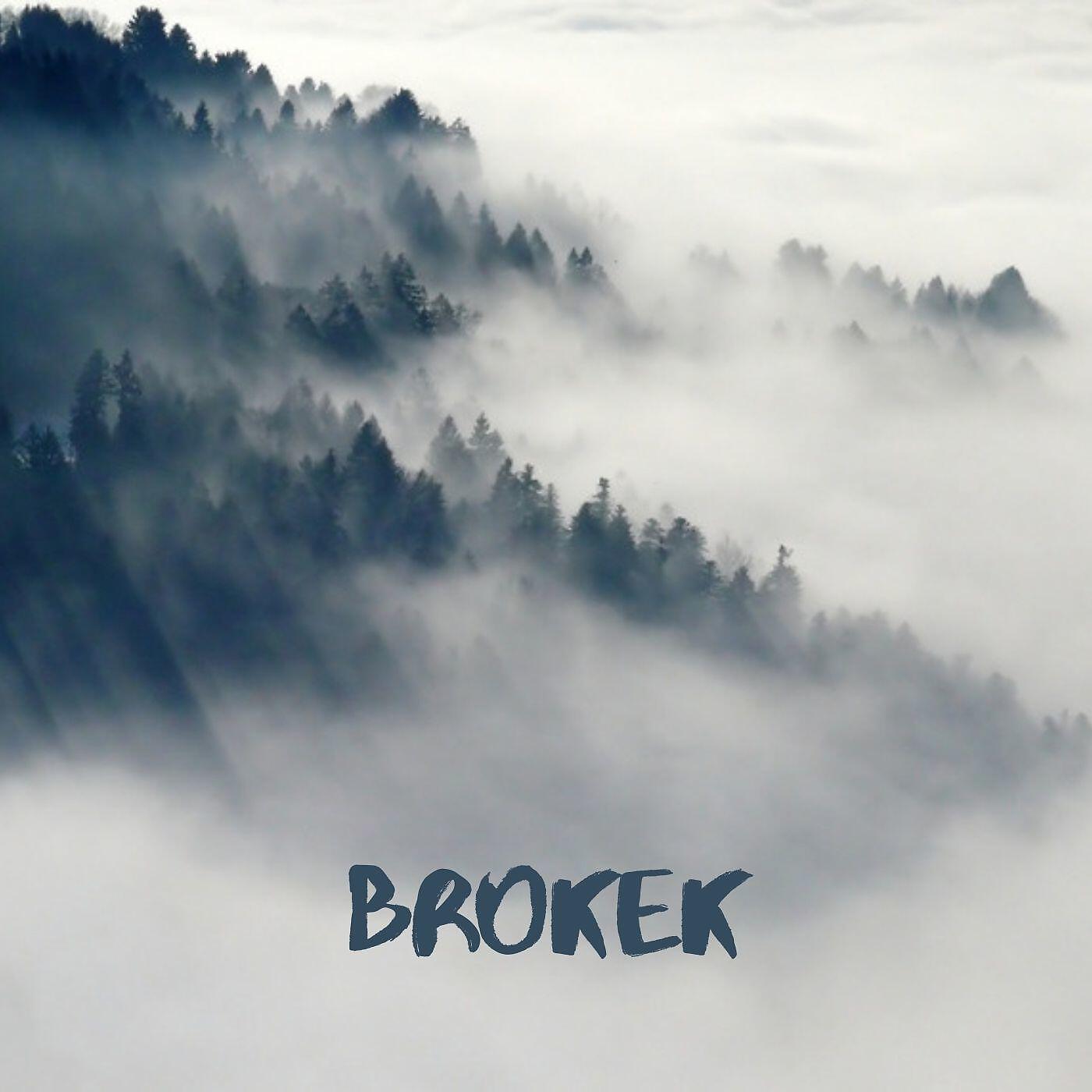 Постер альбома Brokek