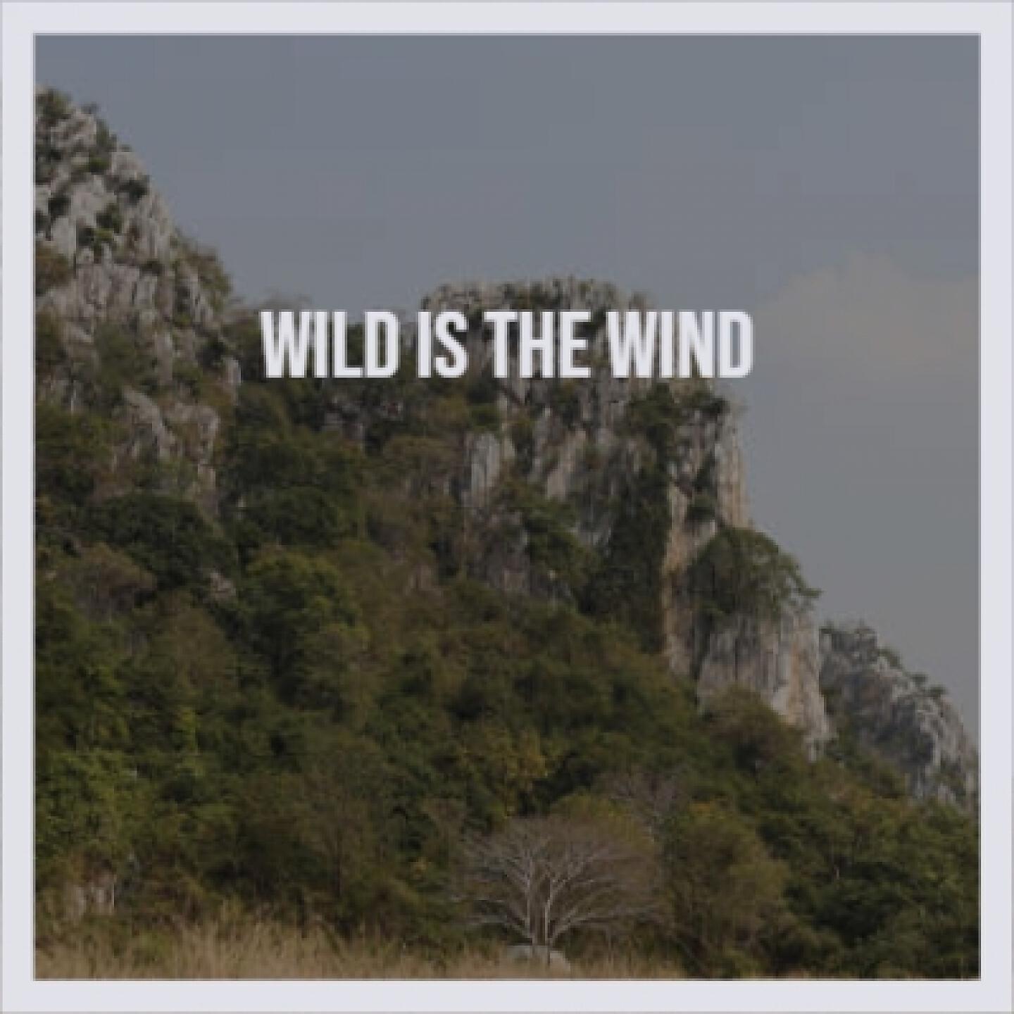 Постер альбома Wild Is the Wind