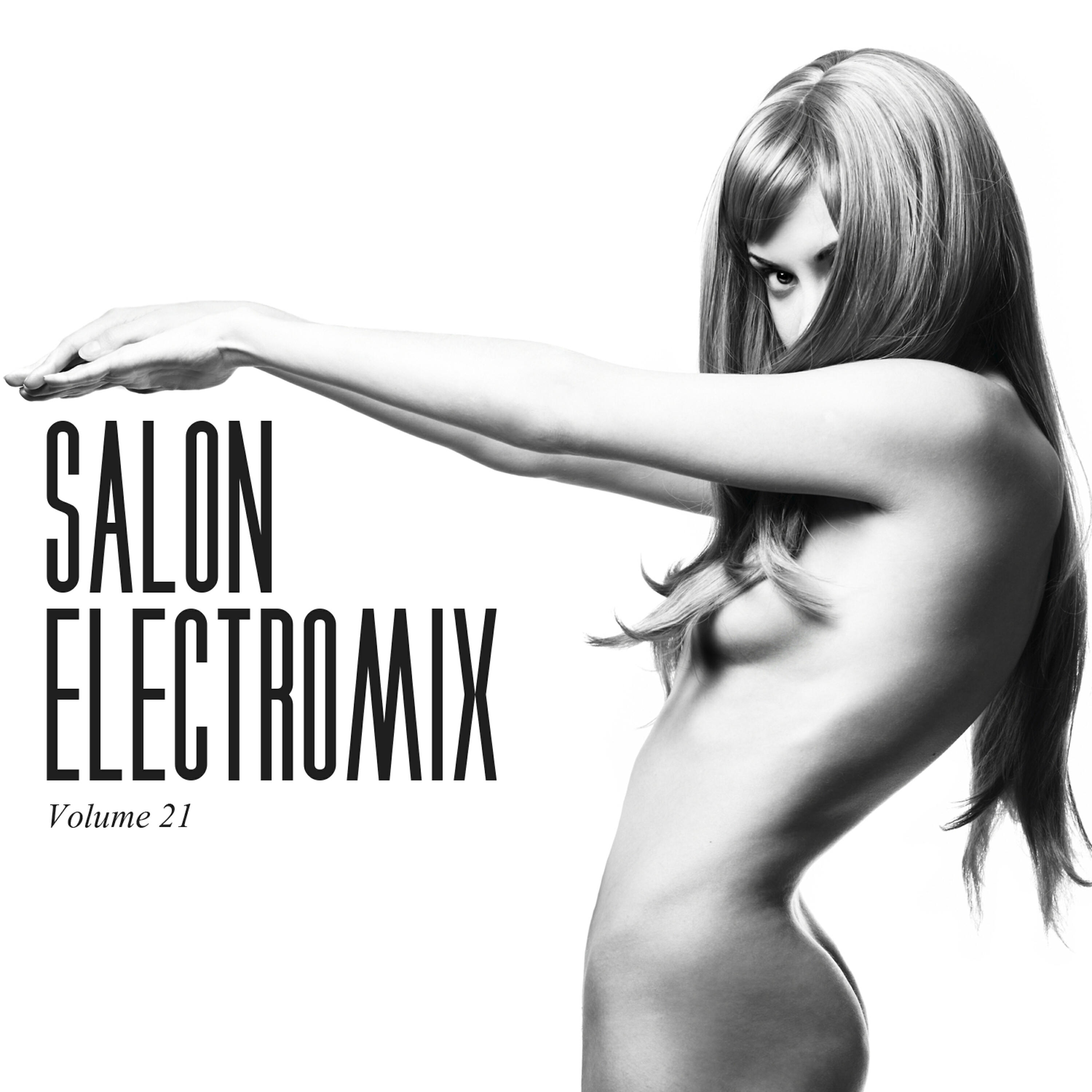 Постер альбома Salon Electromix, Vol. 21