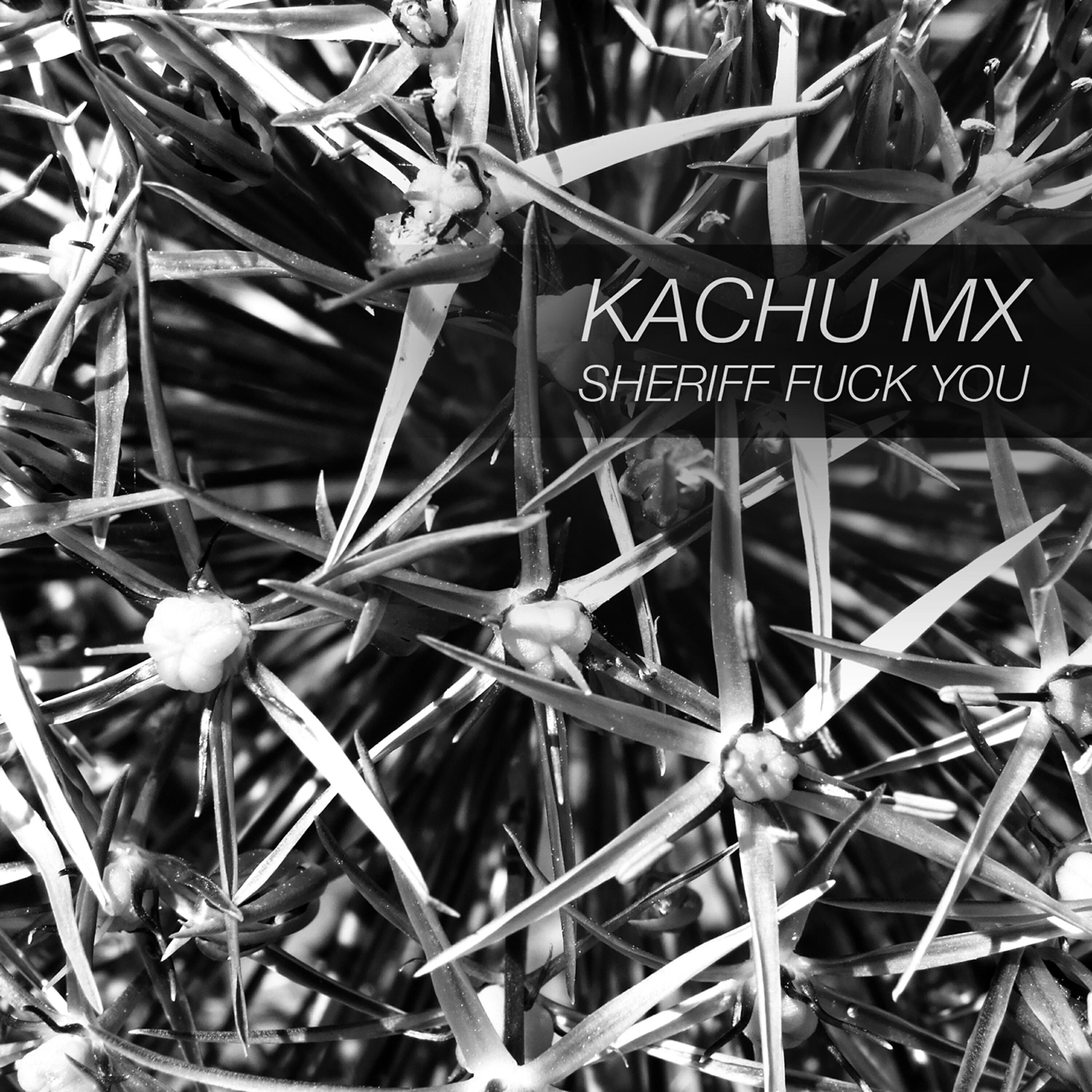 Релиз Sheriff Fuck You