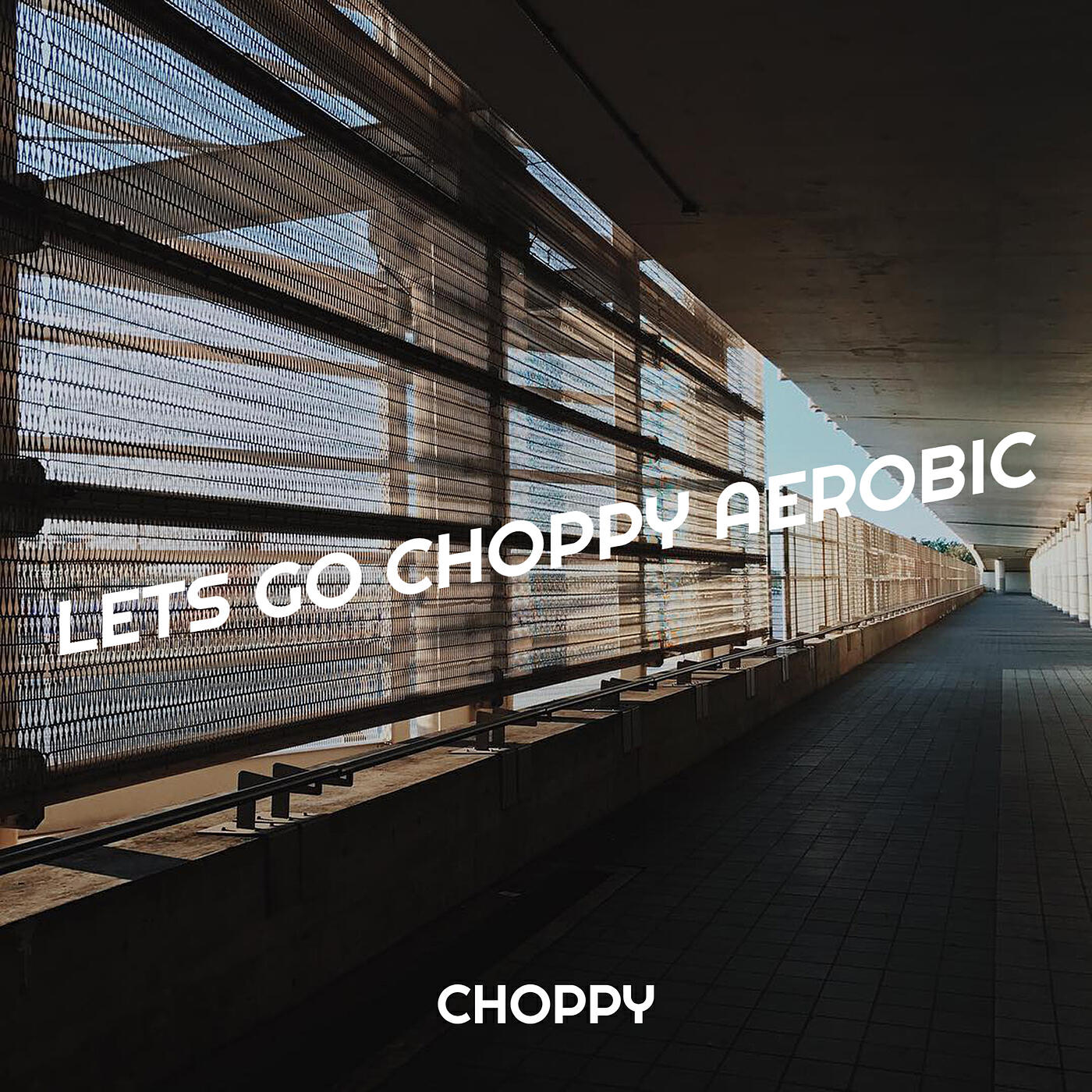 Релиз Lets Go Choppy Aerobic