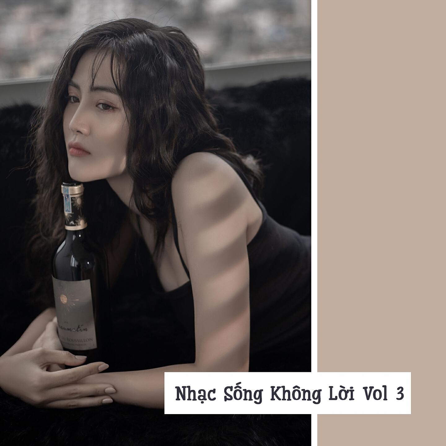 Релиз Nhạc Sống Không Lời, Vol. 3