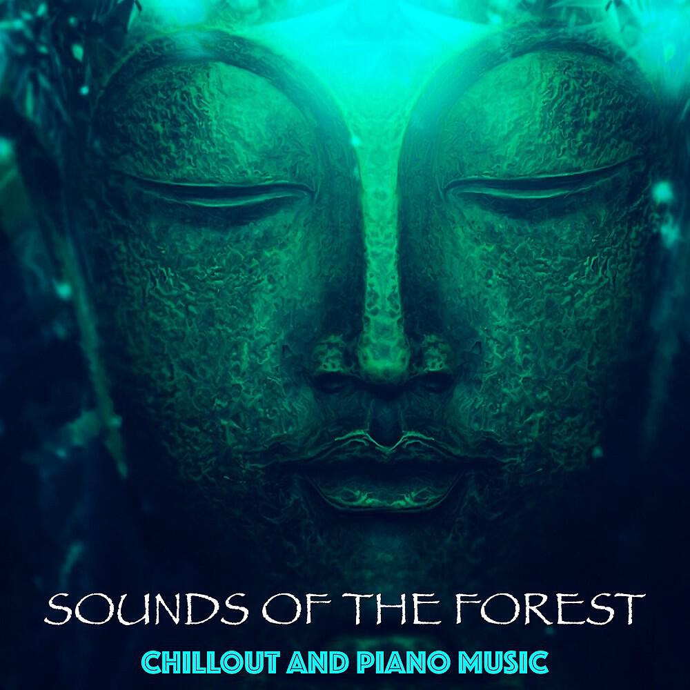 Релиз Buddha Bar - Piano Music and Sounds of the Forest (Relaxation, Sleep, Yoga, Meditation, Harmony, Chill, Z)