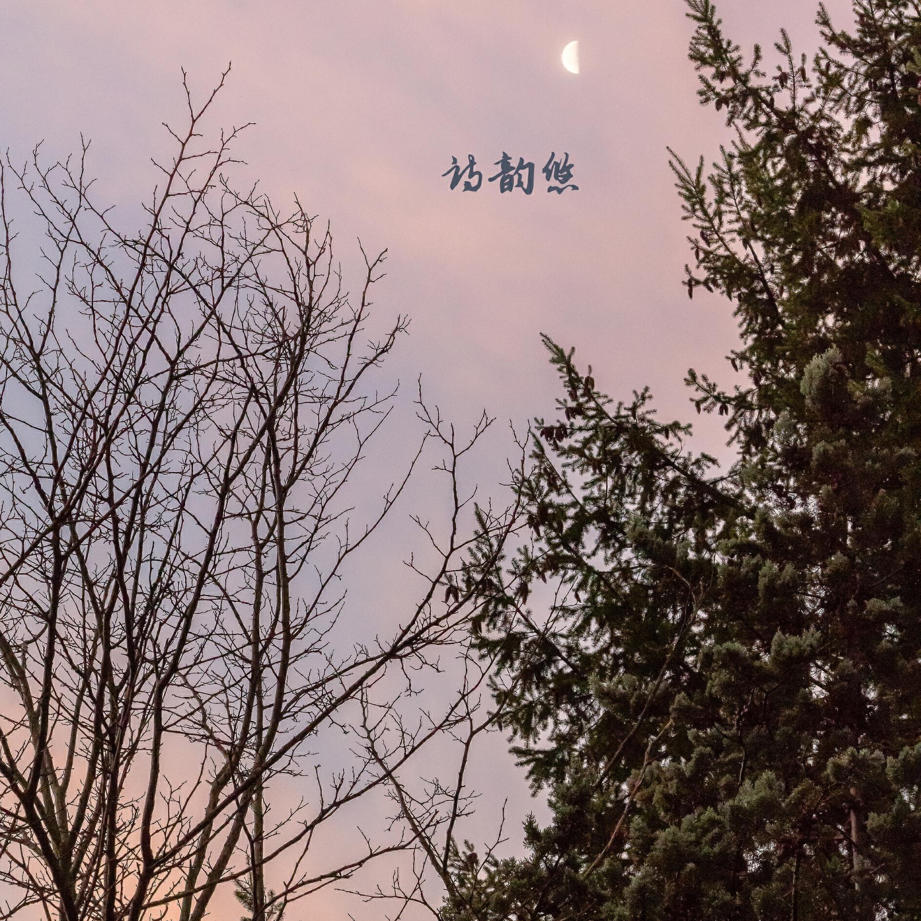 禅修音乐盒