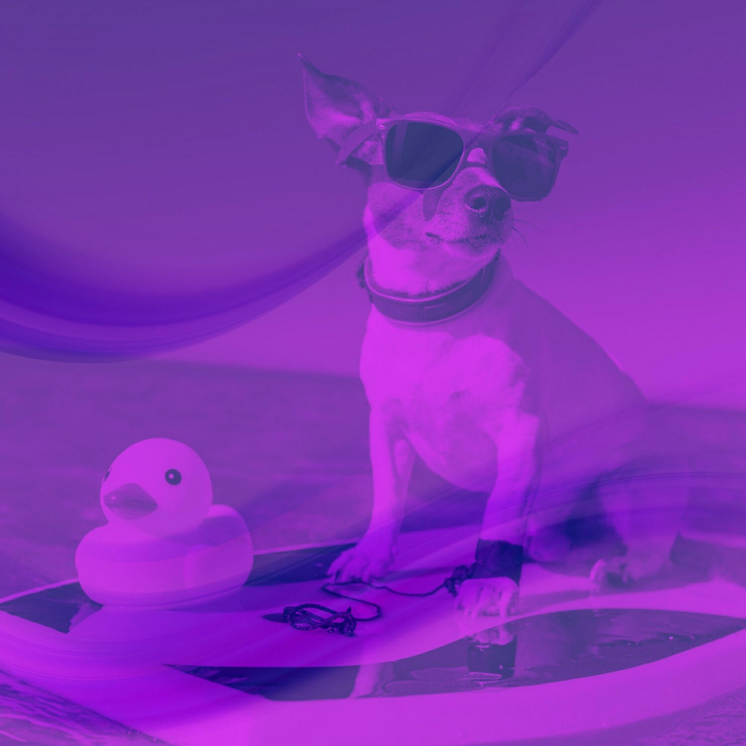 Релиз (Acoustic Guitar Solo) Music for Calming Your Dog