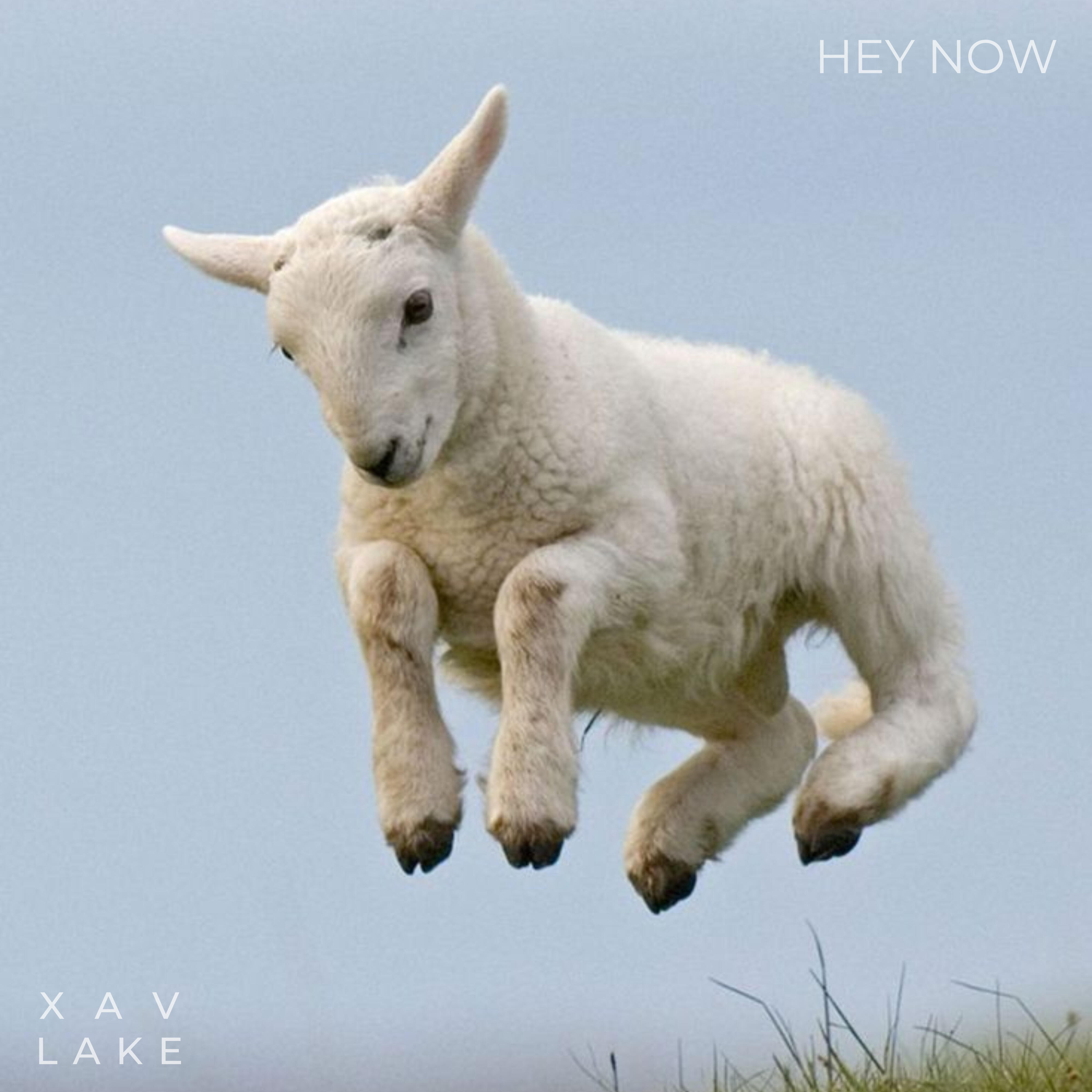 Релиз Hey Now.