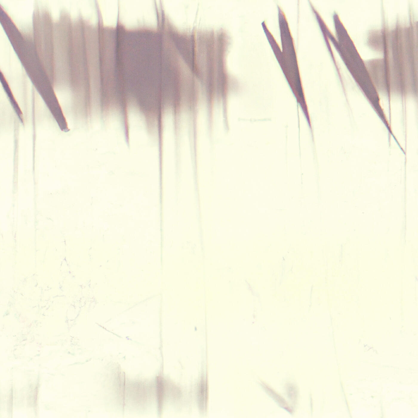 Релиз Mercy