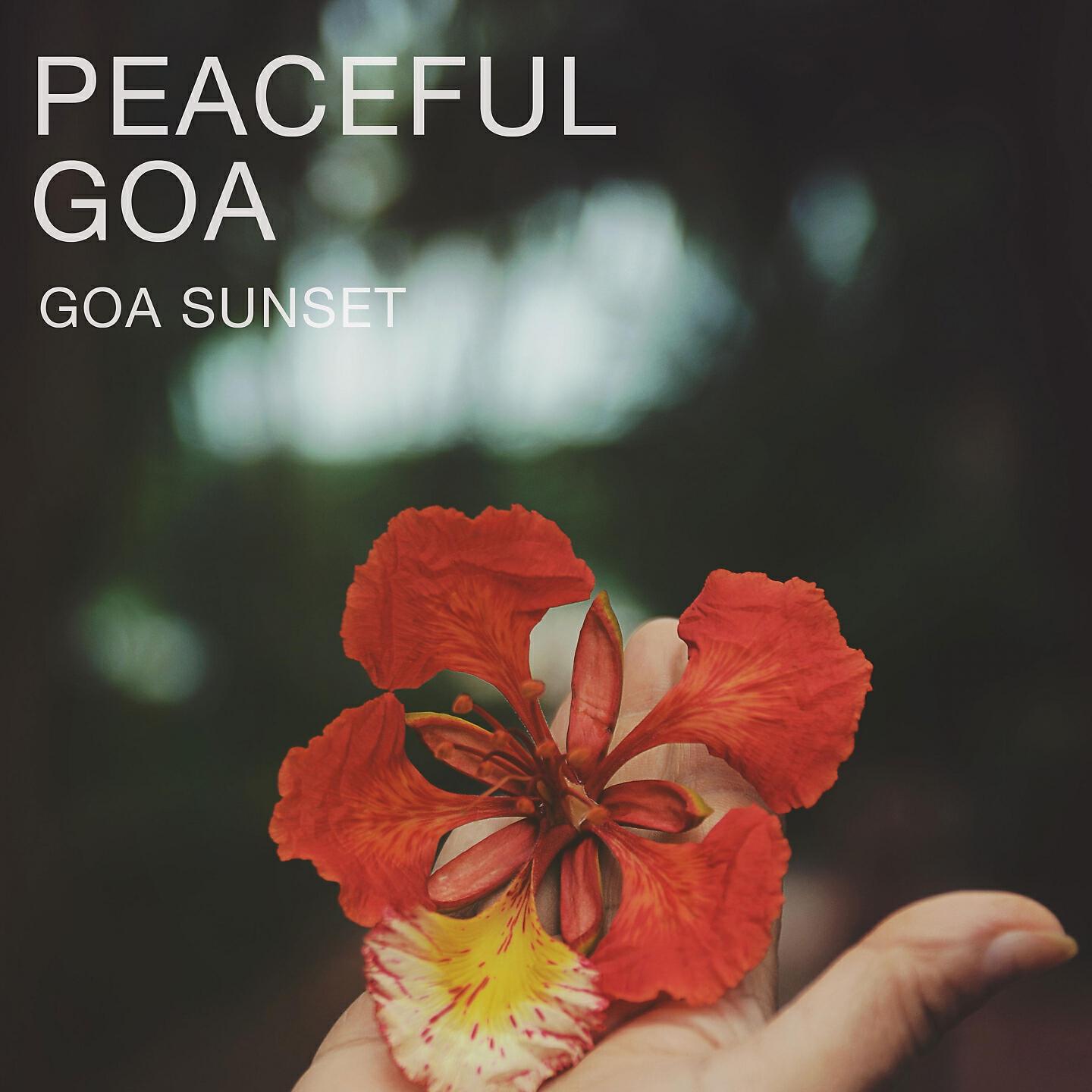 Релиз Goa Sunset