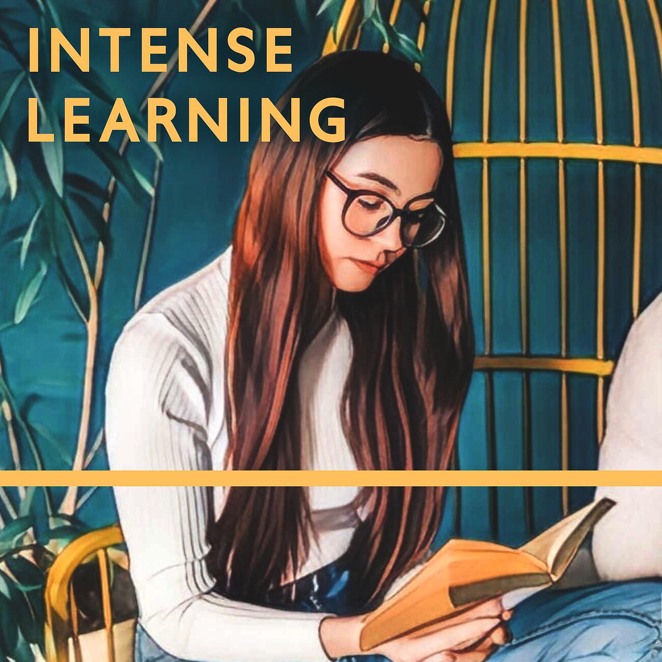 Релиз Intense Learning