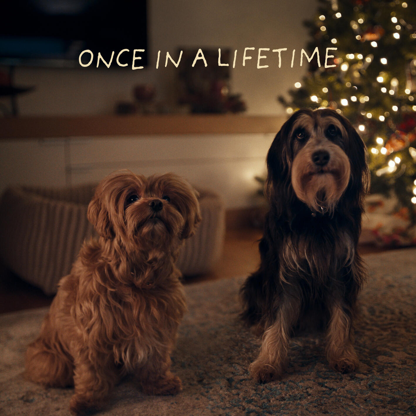 Релиз Once In A Lifetime