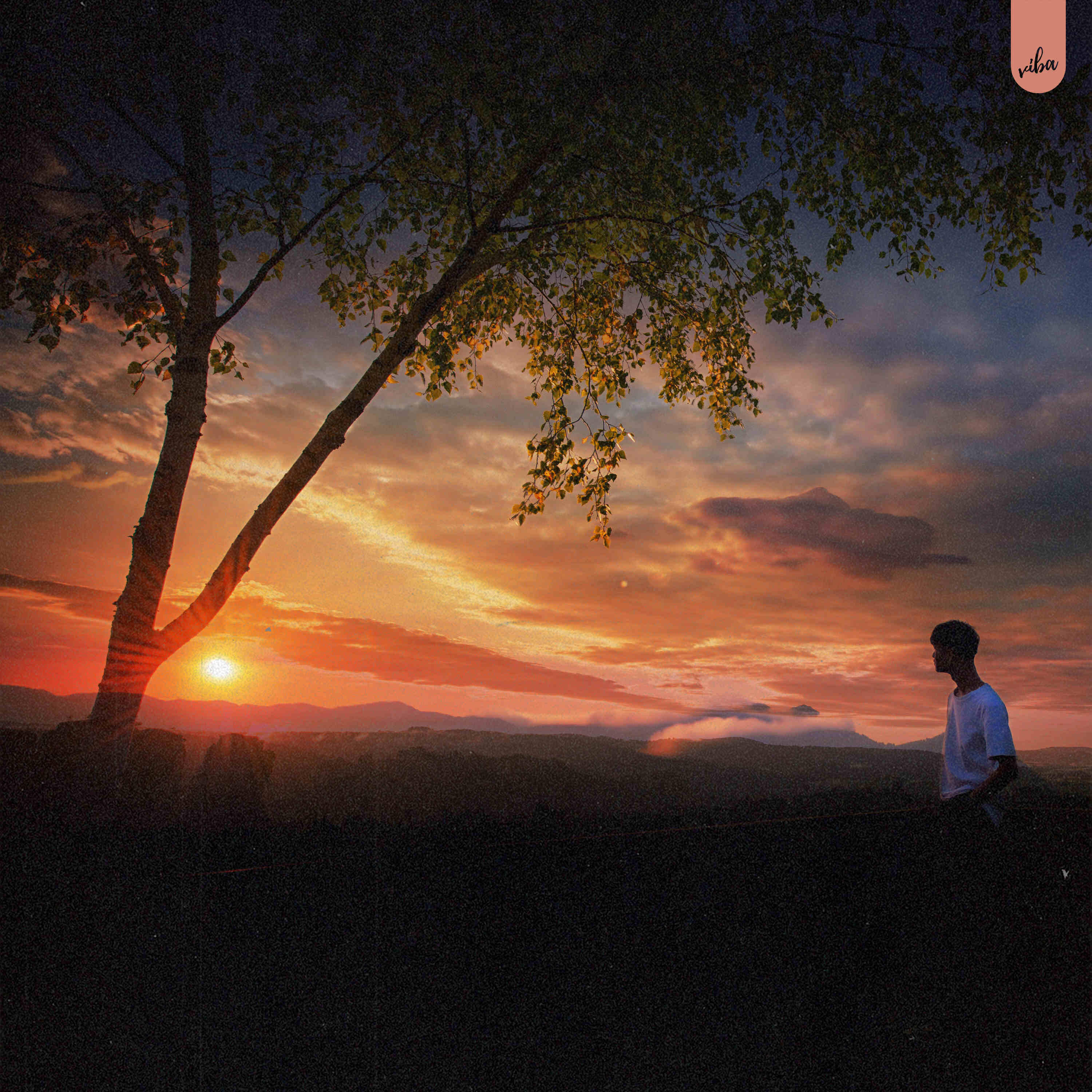 Постер альбома Hopeful Days