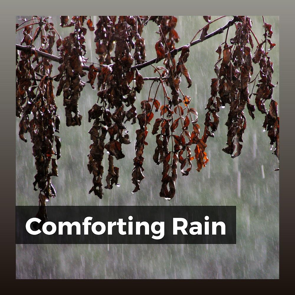 Релиз Comforting Rain