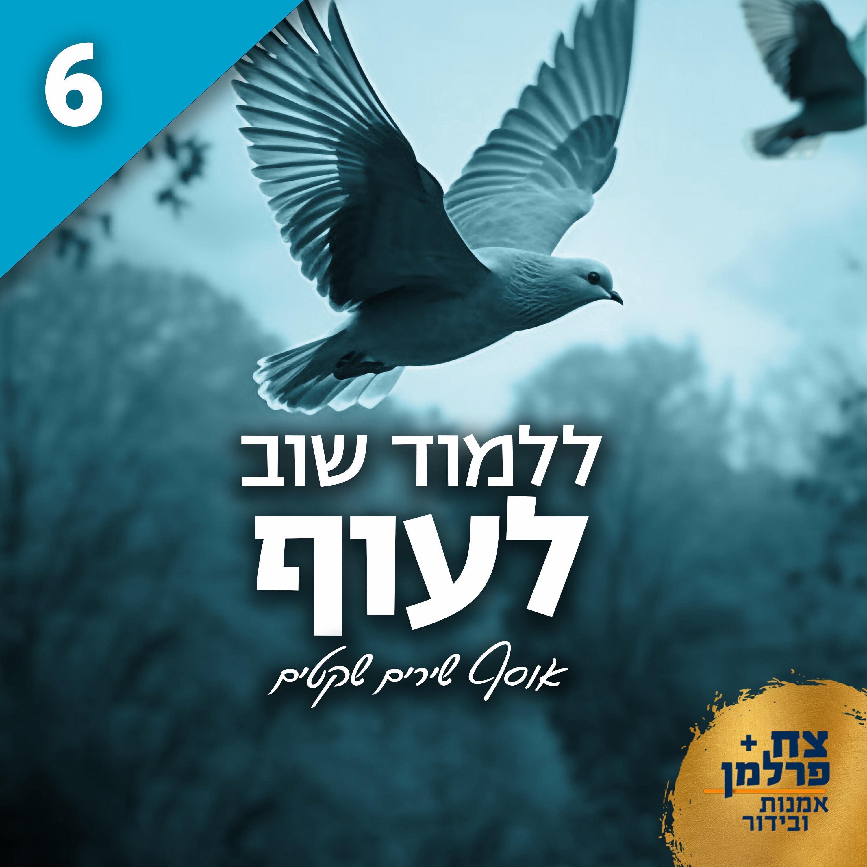 Boaz Sharabi