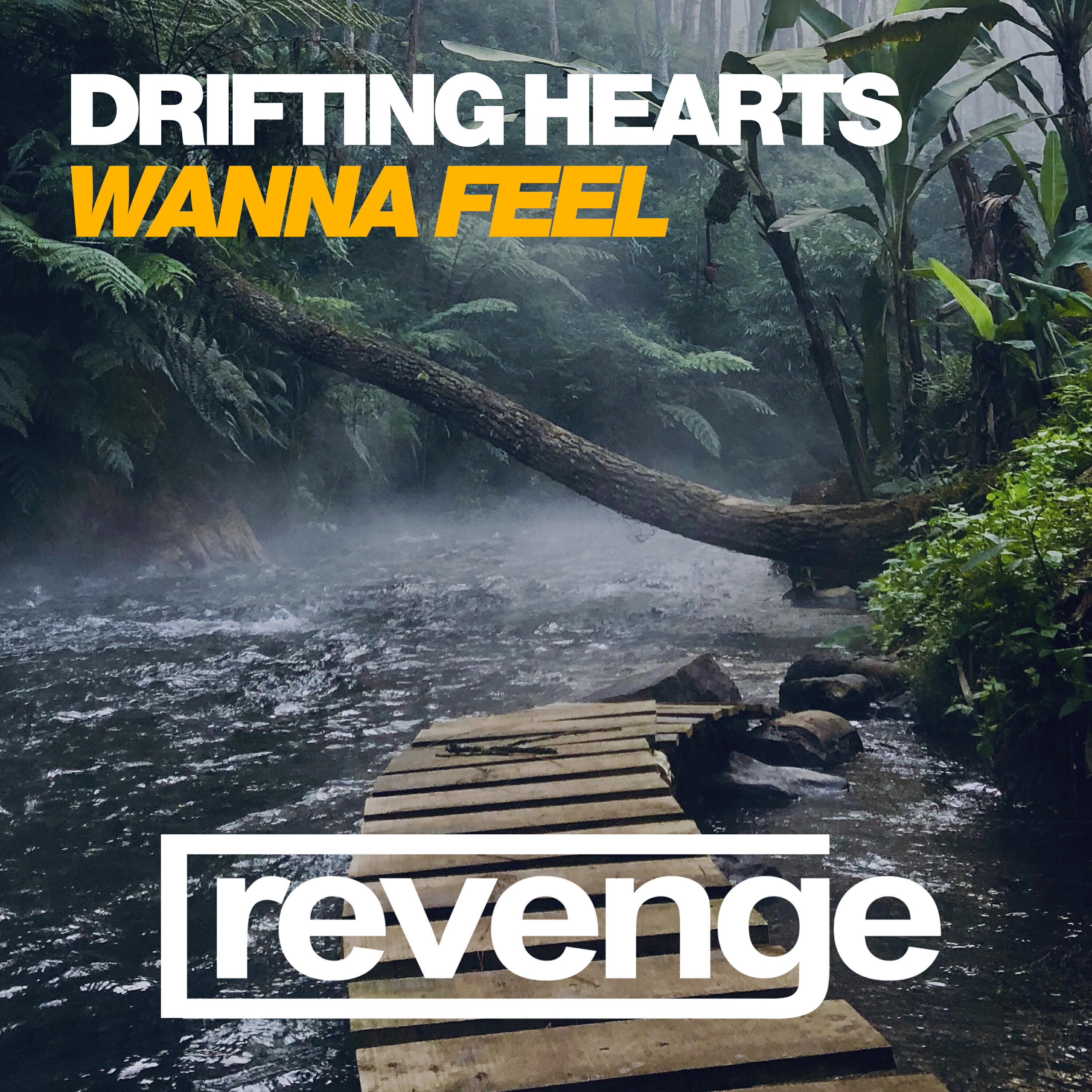 Релиз Wanna Feel