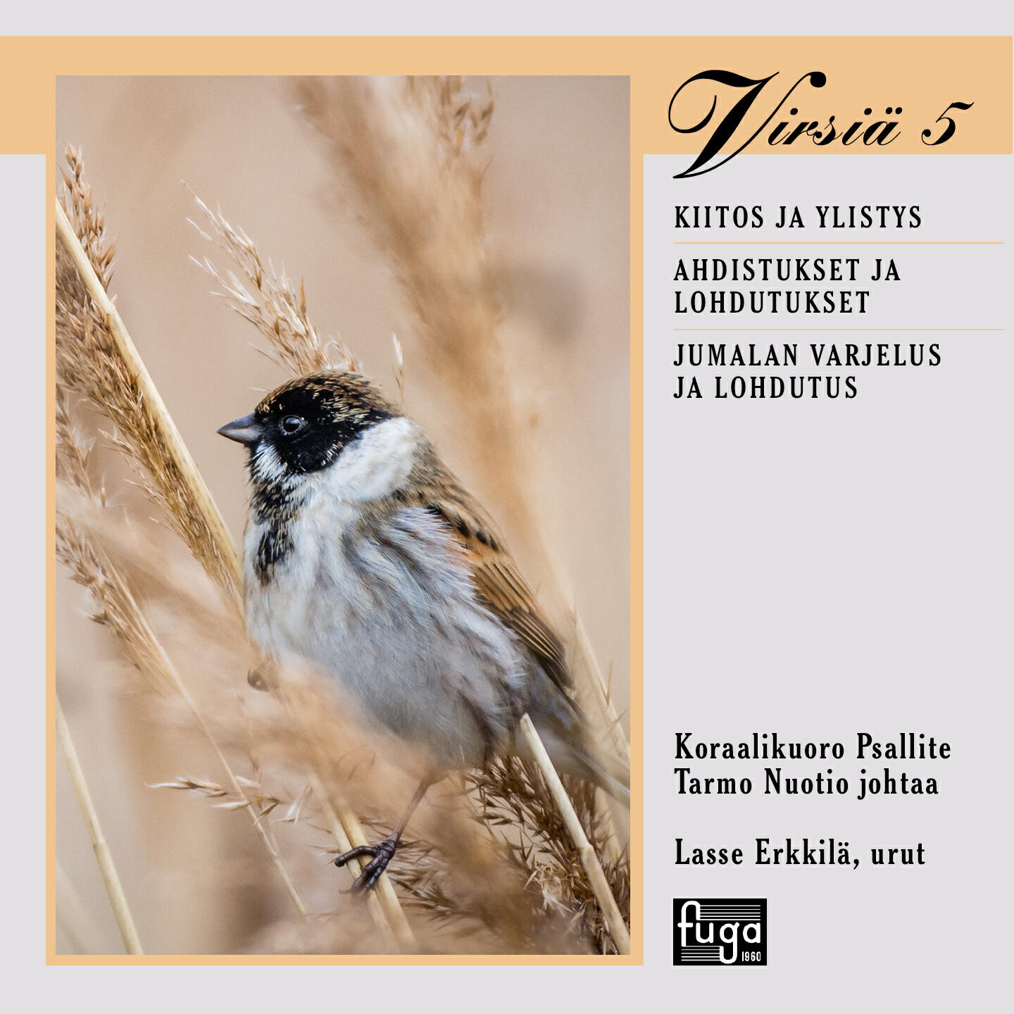 Релиз Virsiä 5