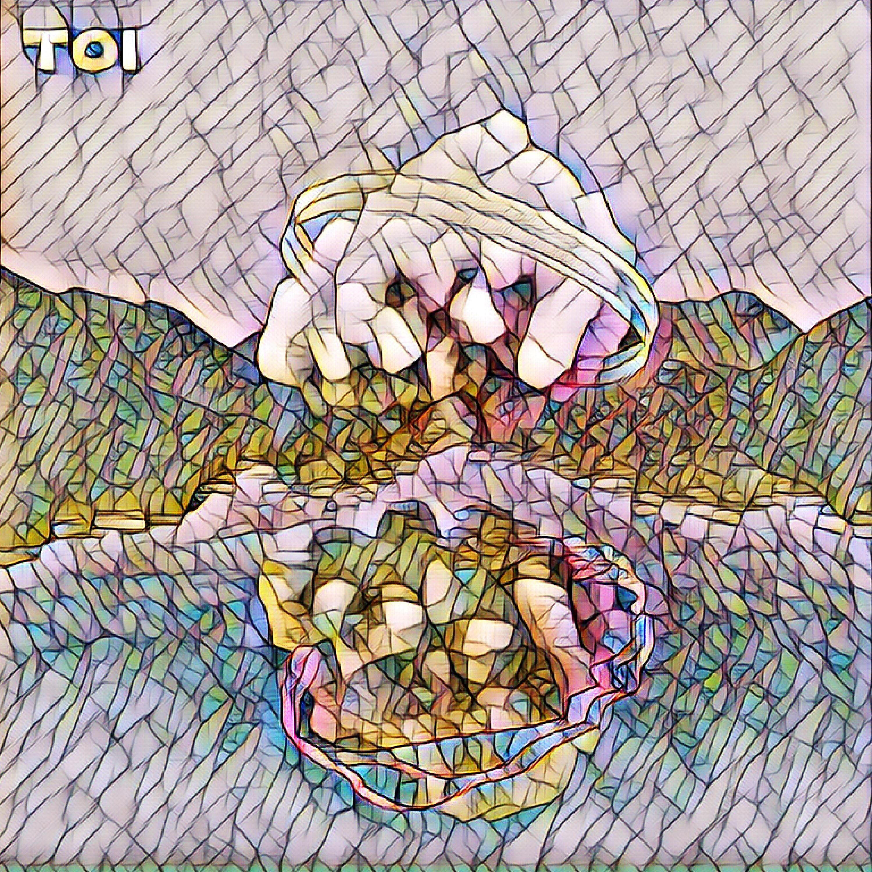 Релиз TOI (Remixes)