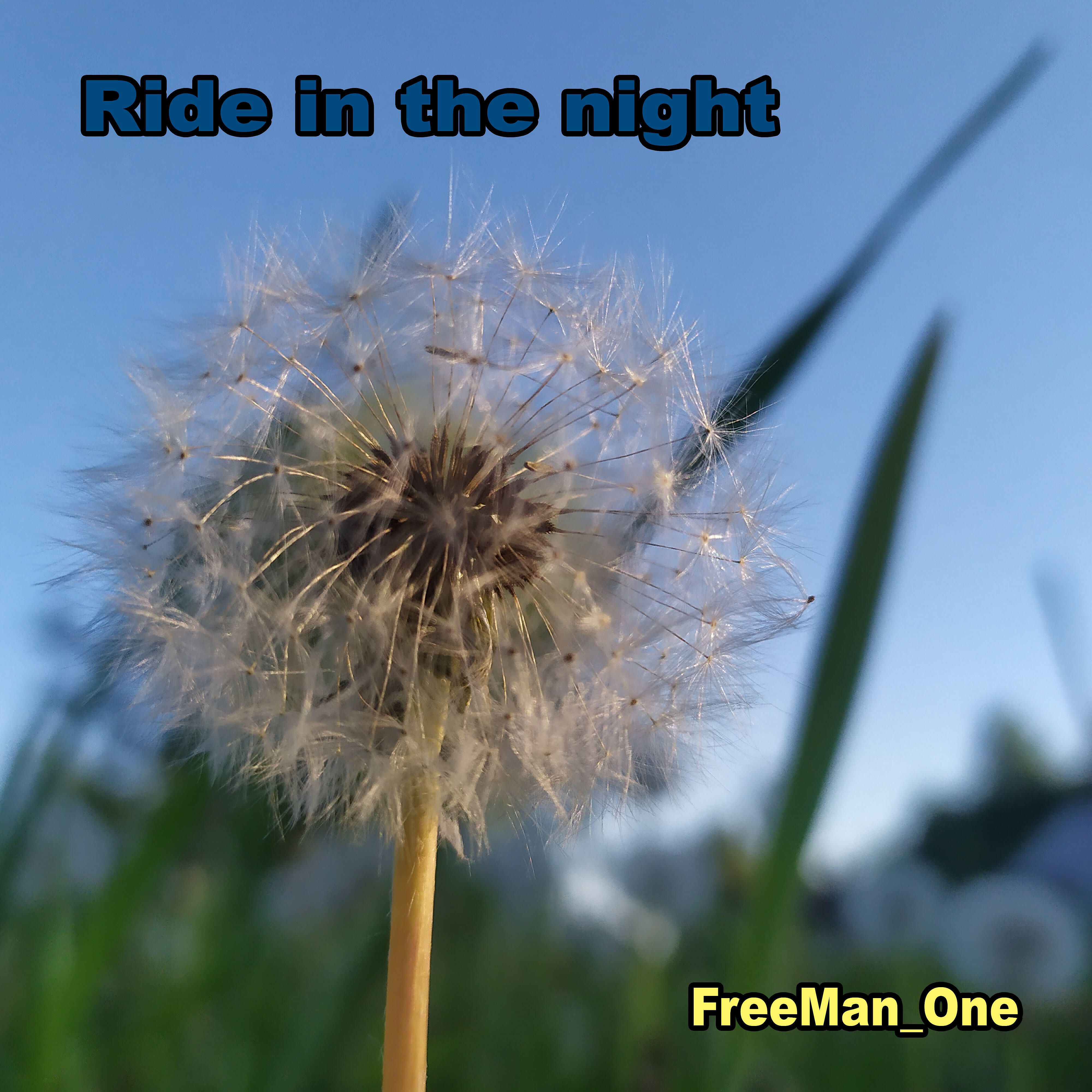 Постер альбома Ride in the Night