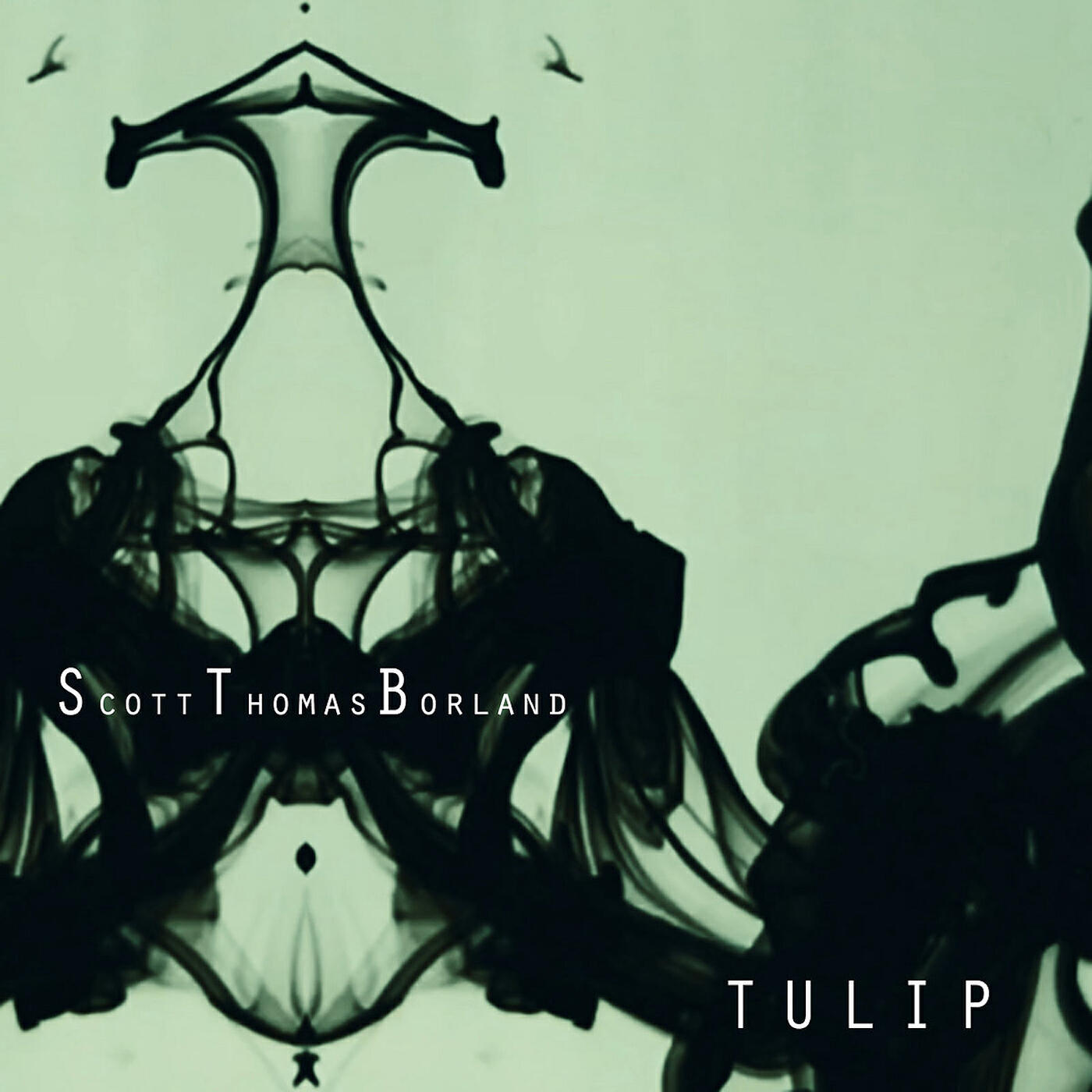 Релиз Tulip