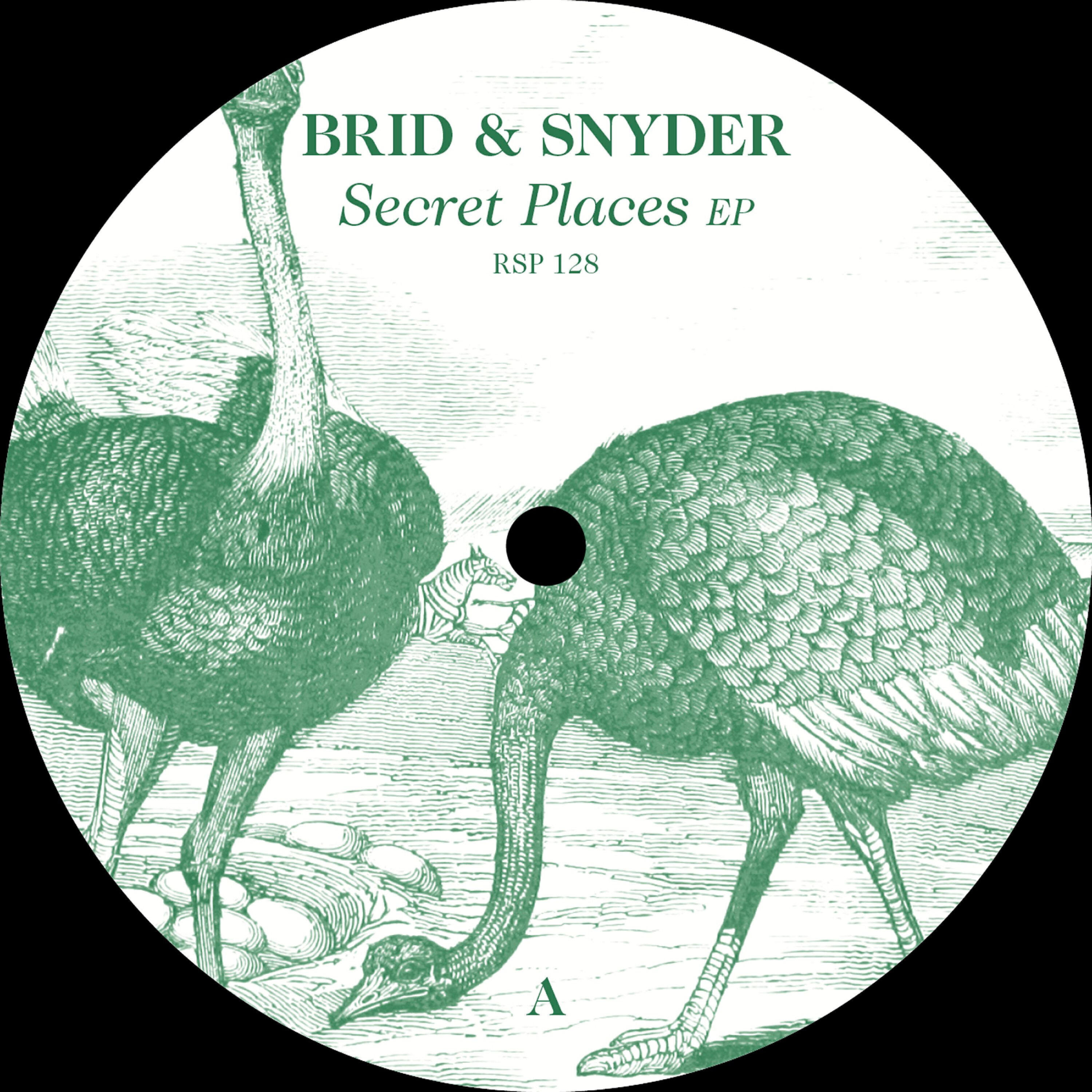 Релиз Secret Places