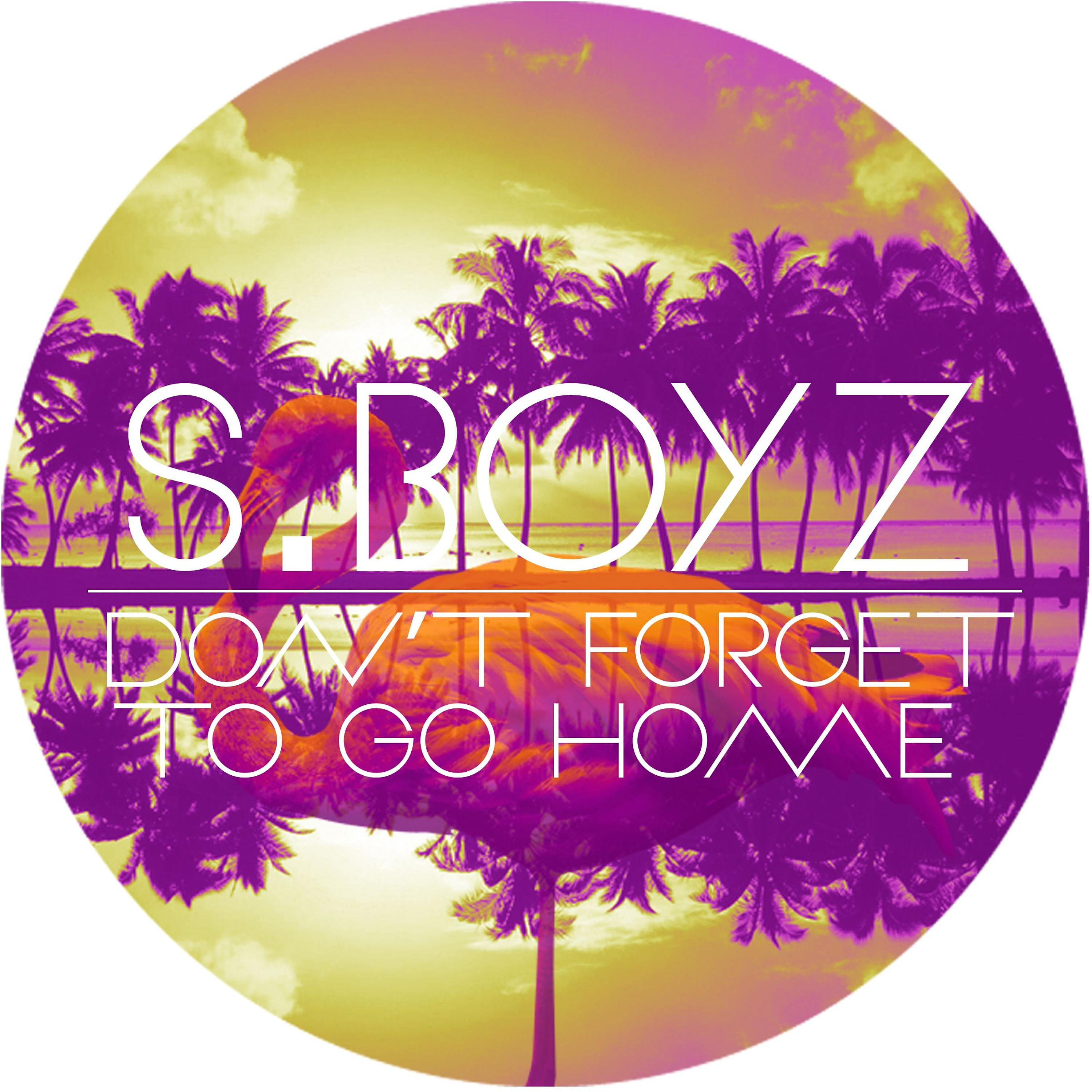 Релиз Don't Forget to Go Home